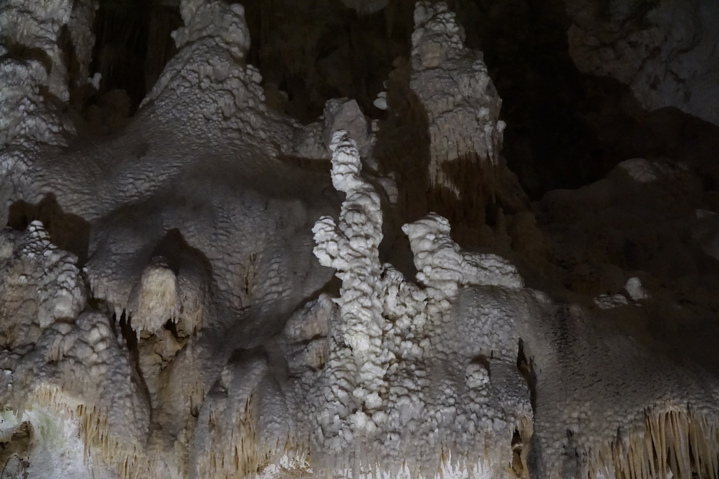 The Shepherd and the Sheep