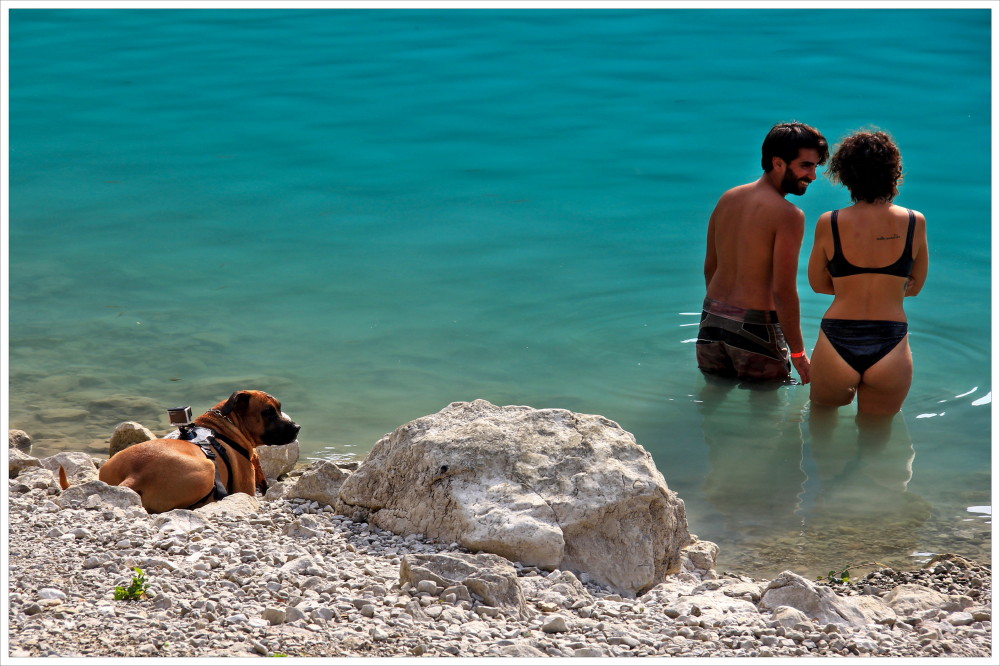 Shooting.. by cane_01