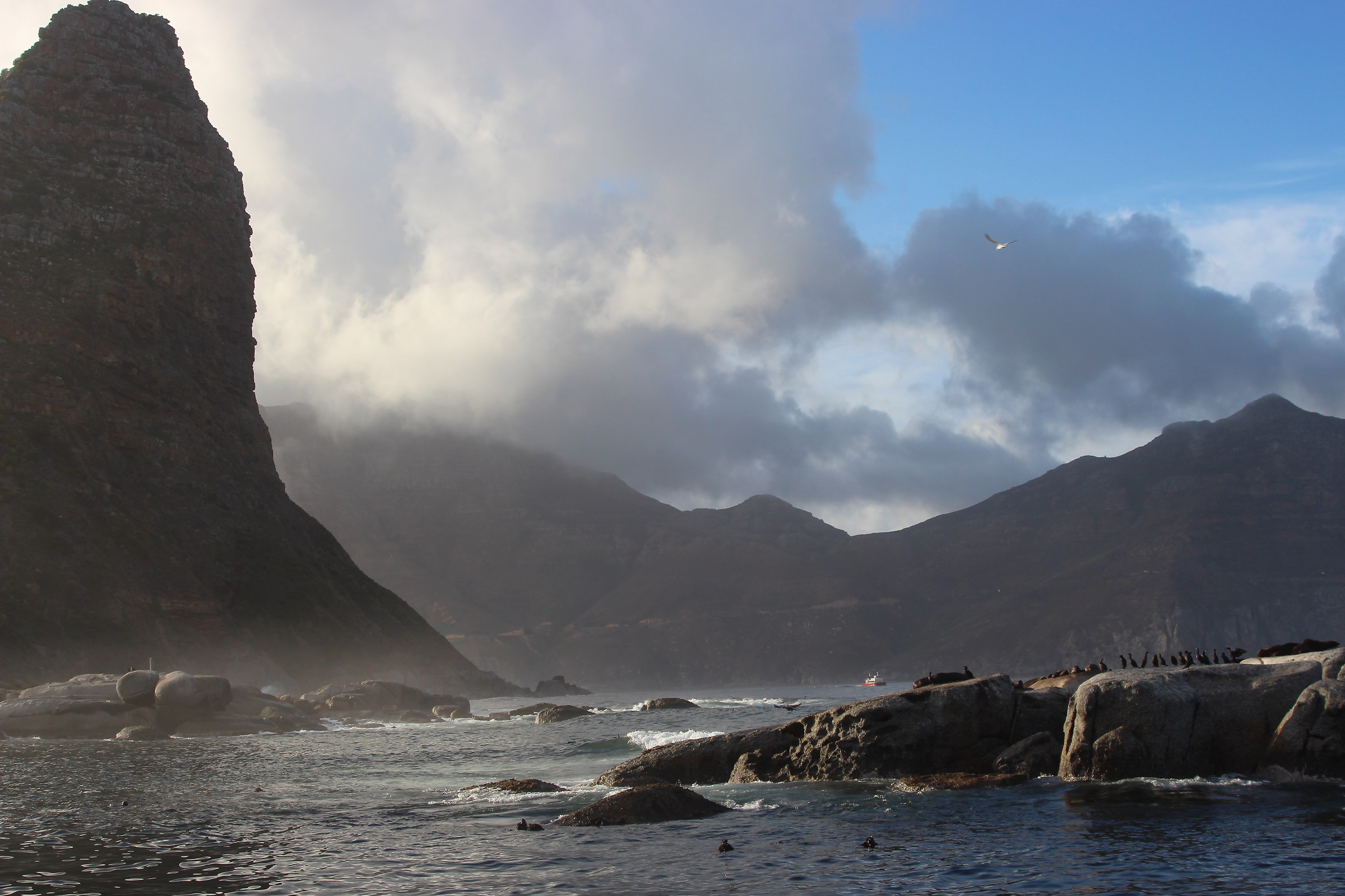 Isola delle foche South Africa