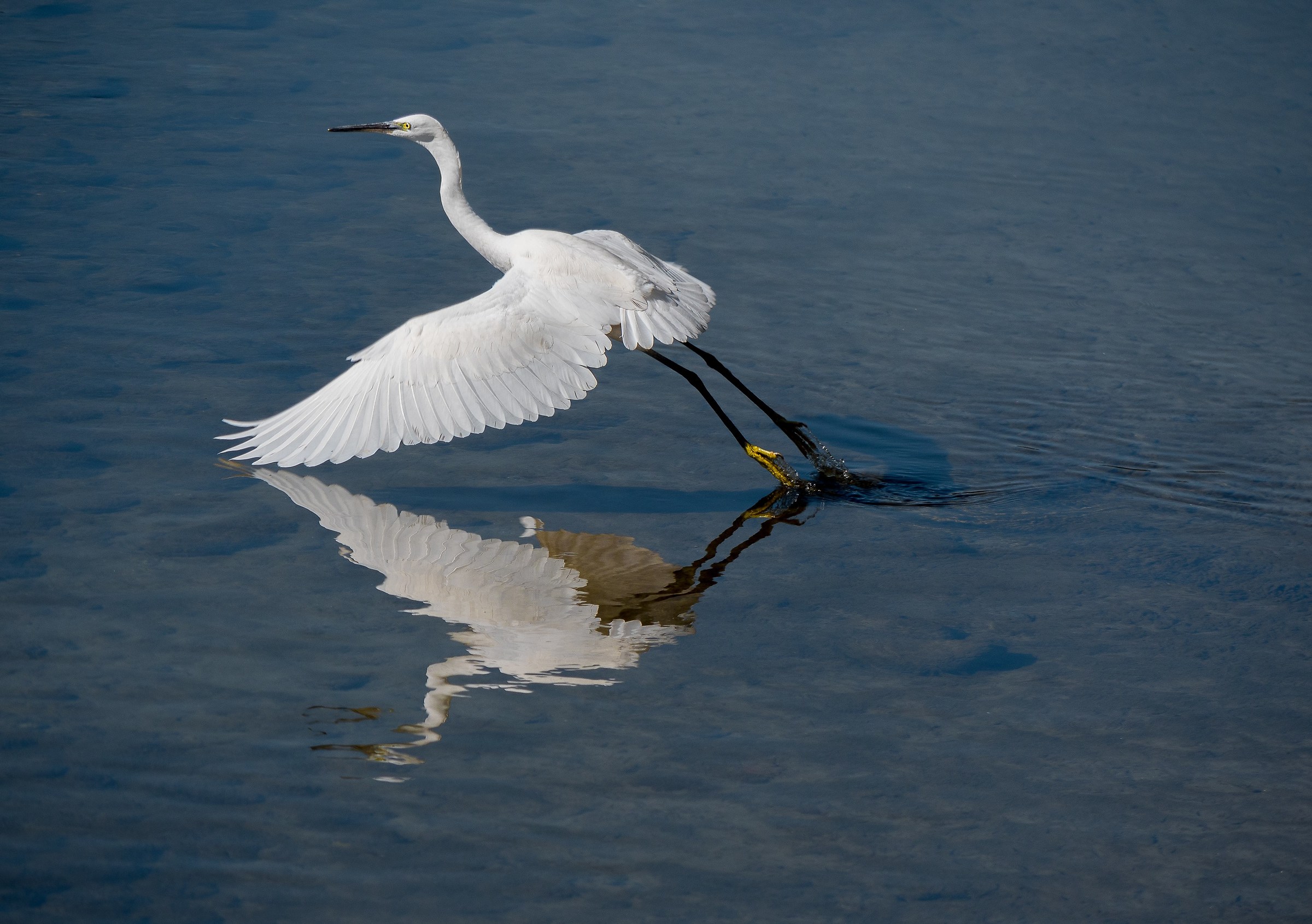 The takeoff..........