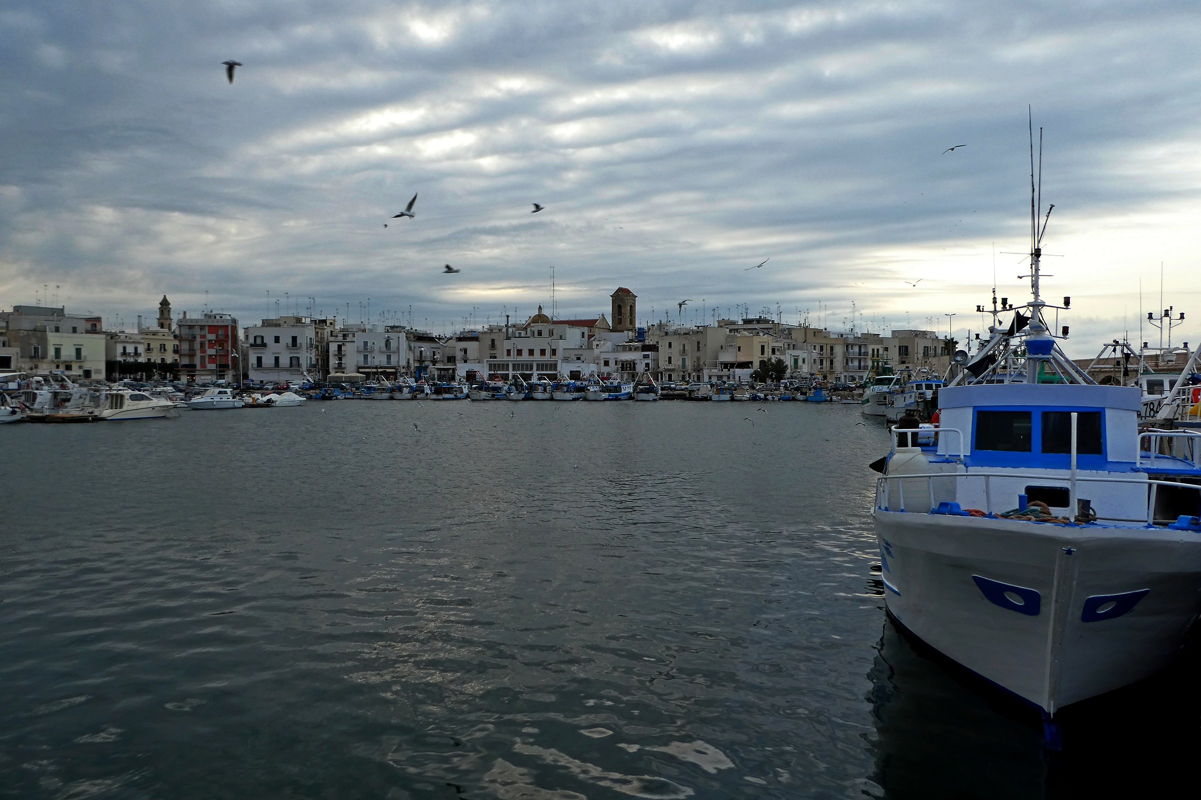 Mola di Bari. even today to fish