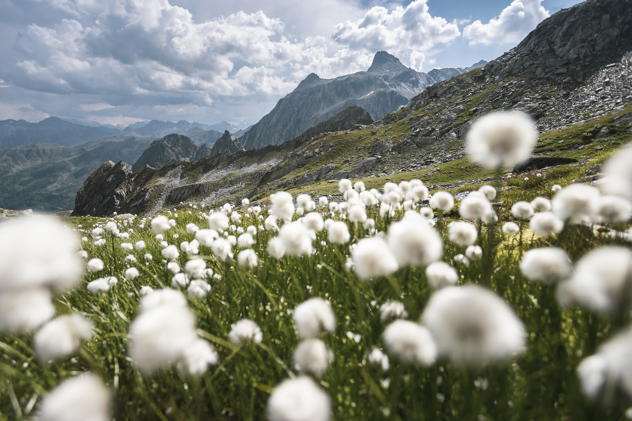 A volte è solo questione di prospettiva