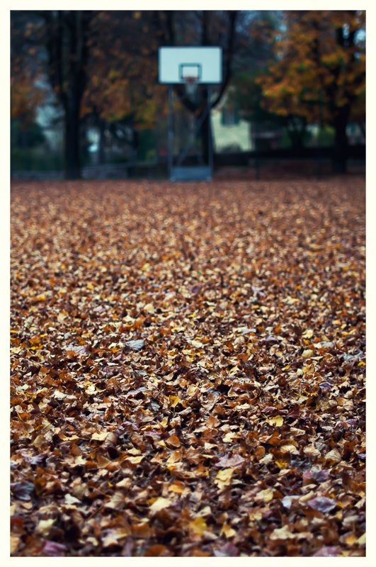 Basket d'autunno
