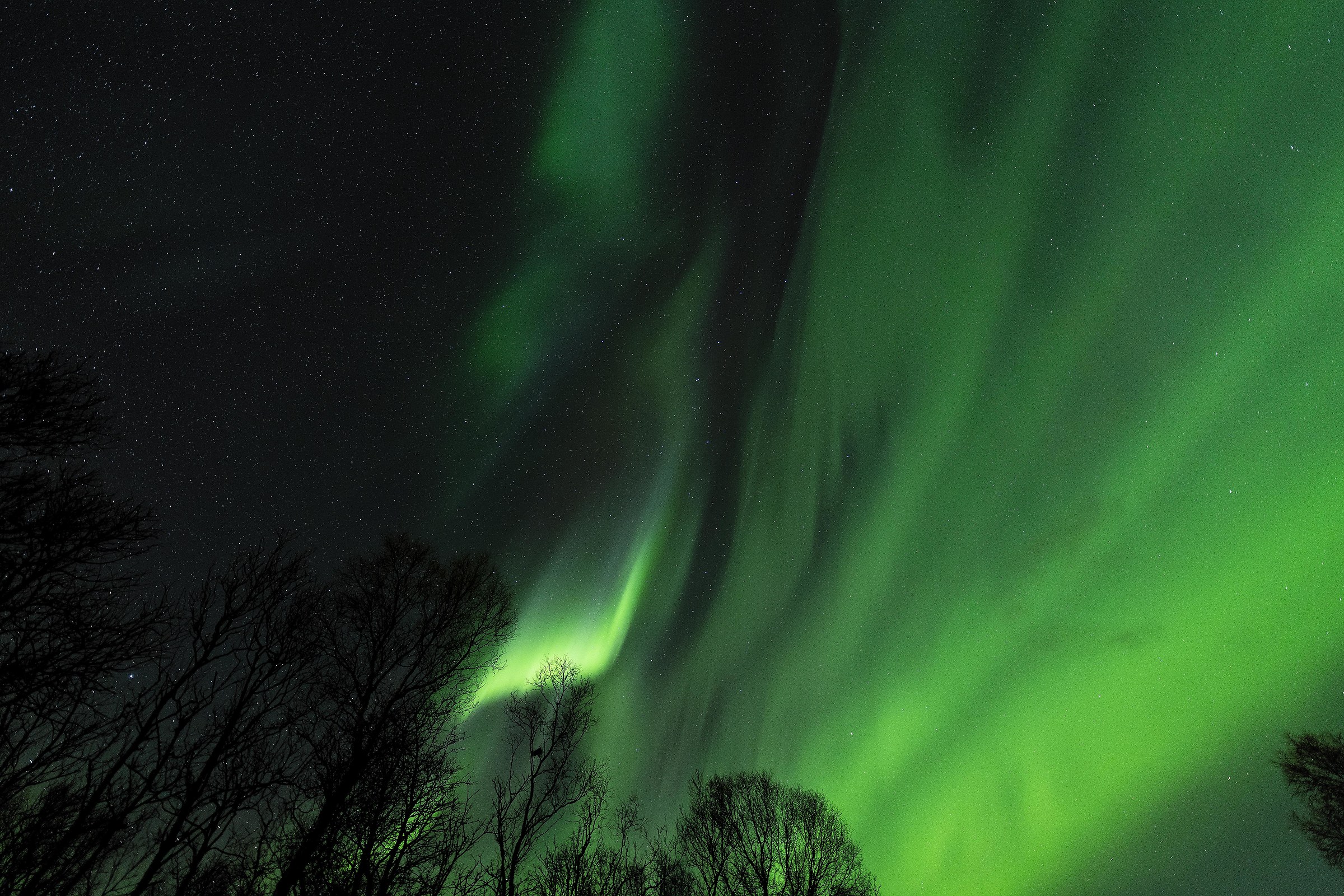 Northern Lights Hunter