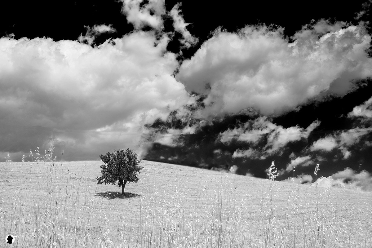 paesaggi siciliani da troina (en) a cesarò (me)