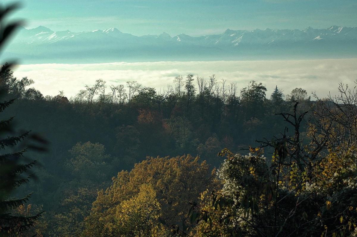 nebbia sotto La Morra