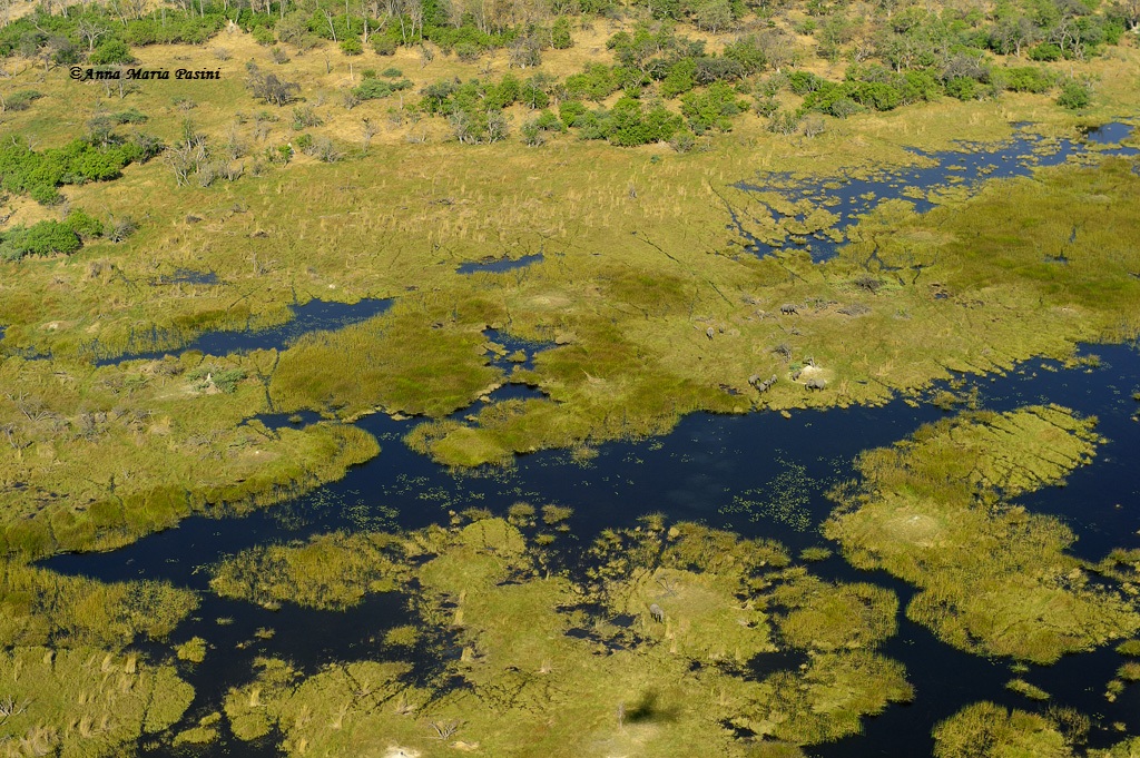 The Okavango Delta plane
