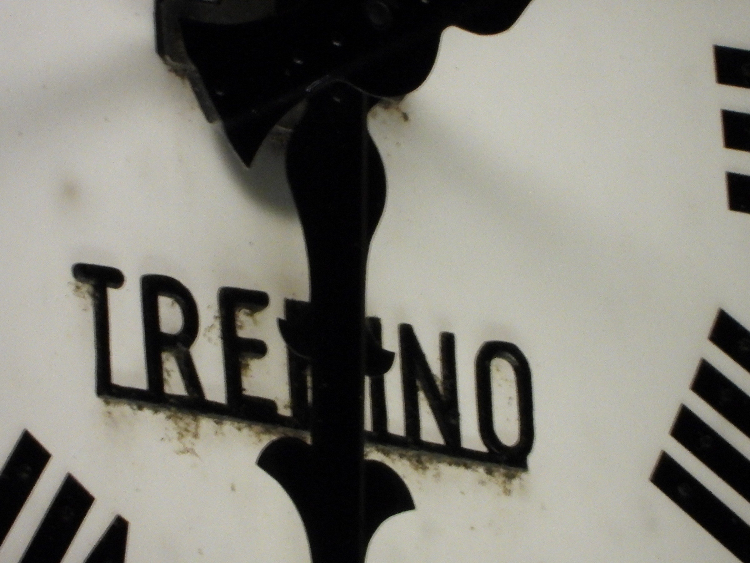 City Hall of Trecate-zoom Test 2