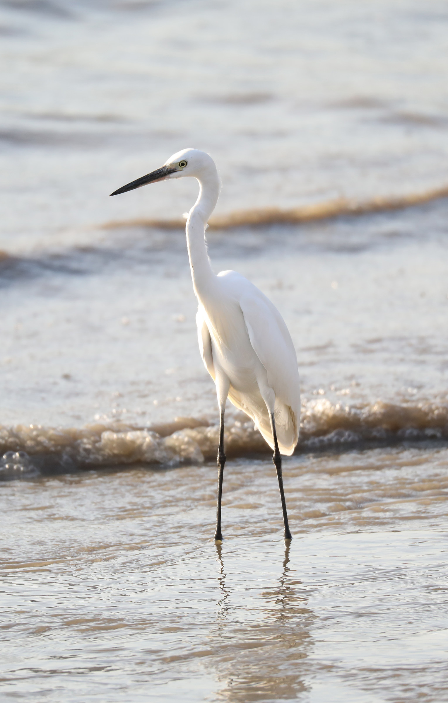 Beauty in the bathroom