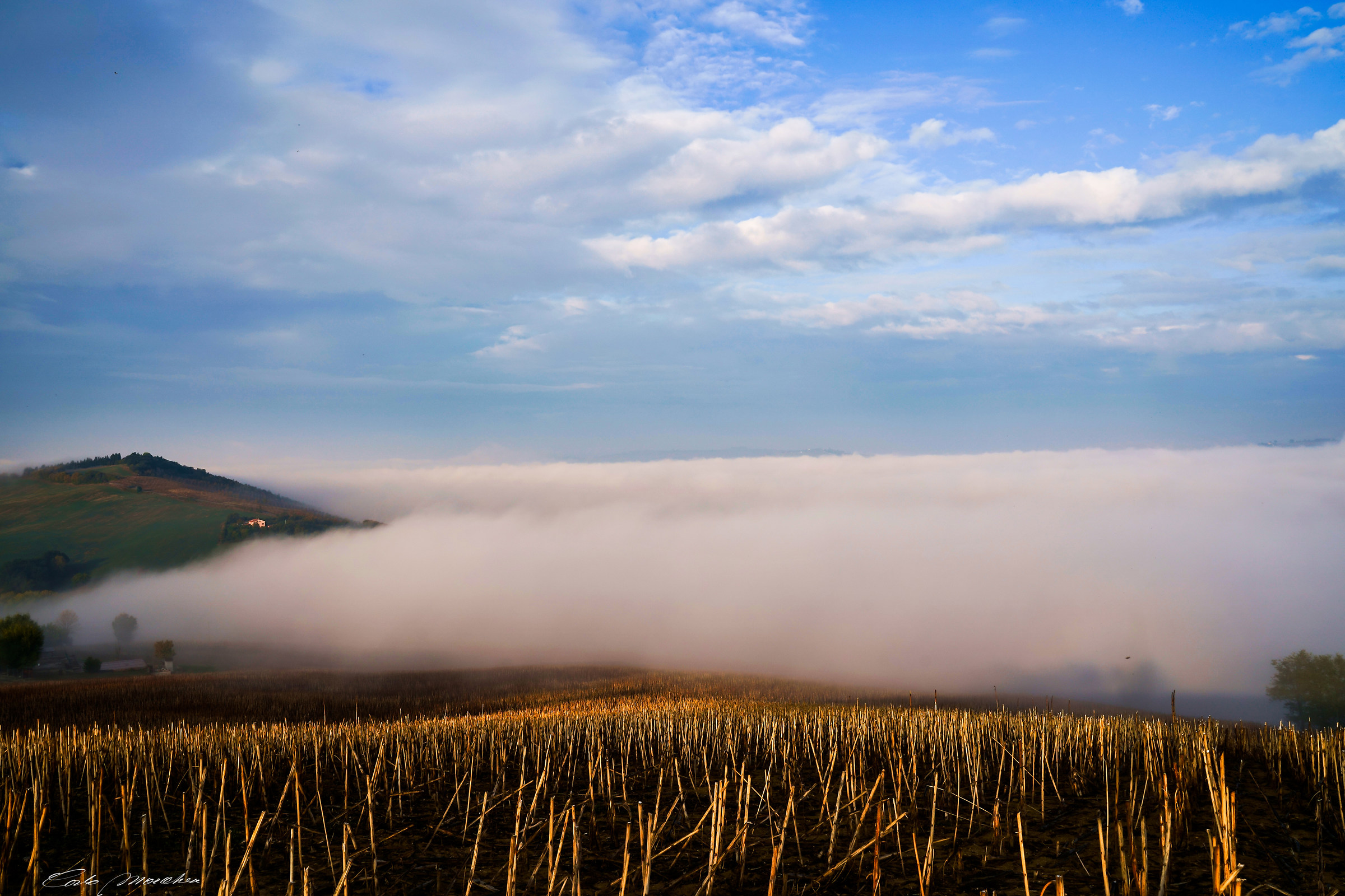 Dipintori... della Terra