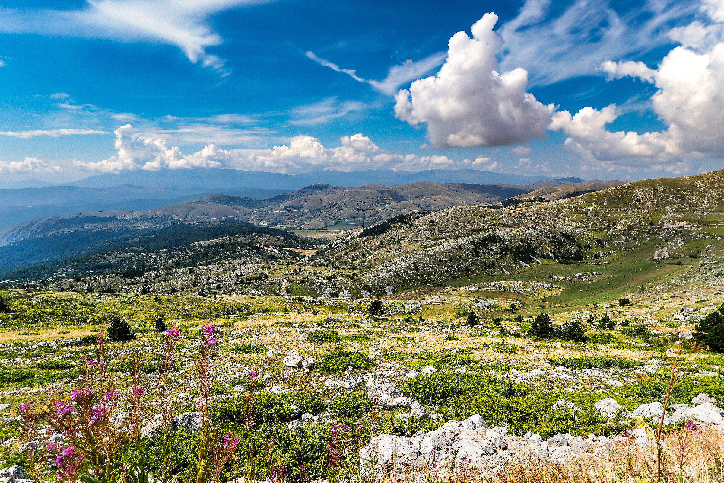 View from Emperor Camp