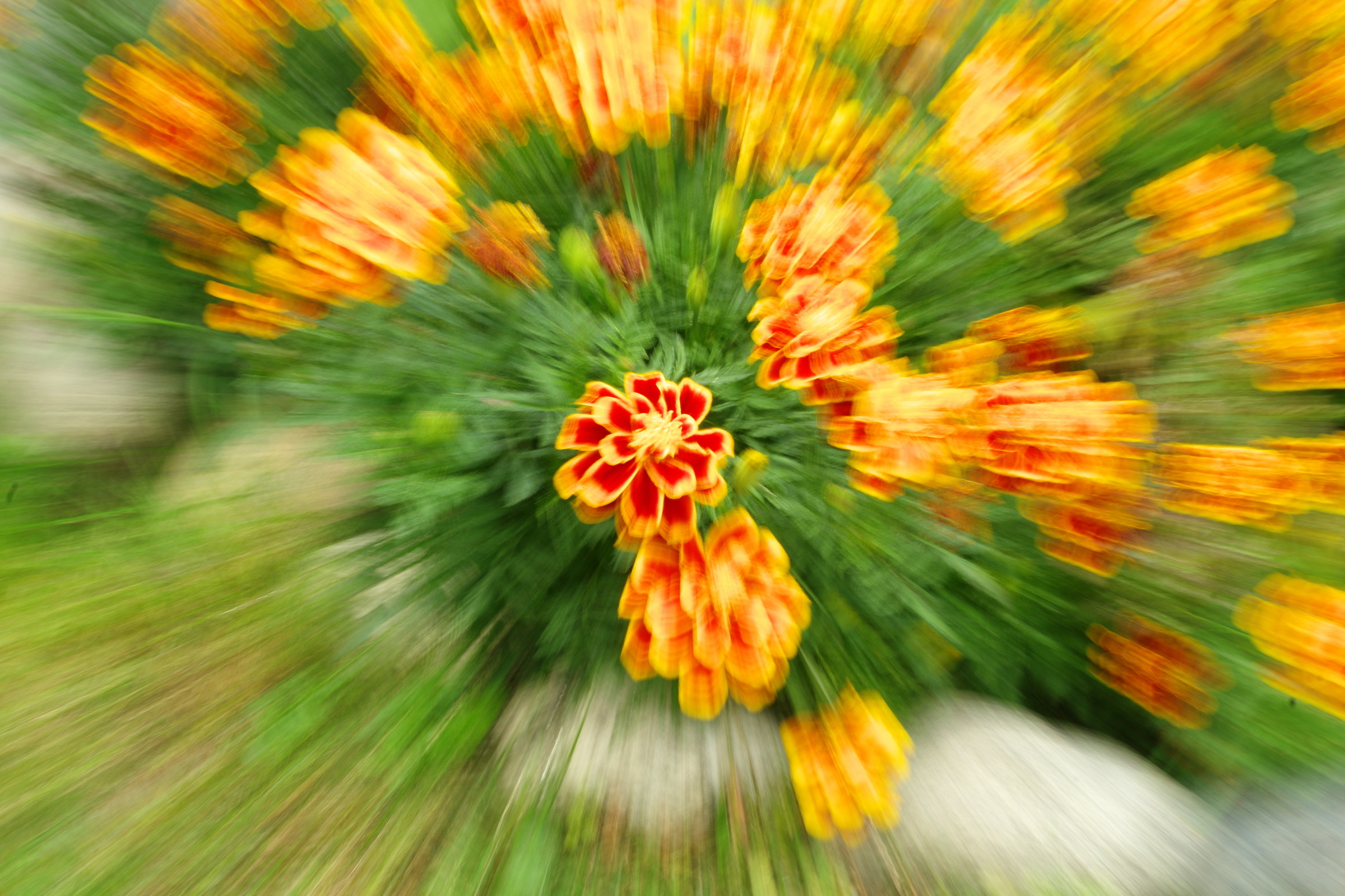Effetto Zoom