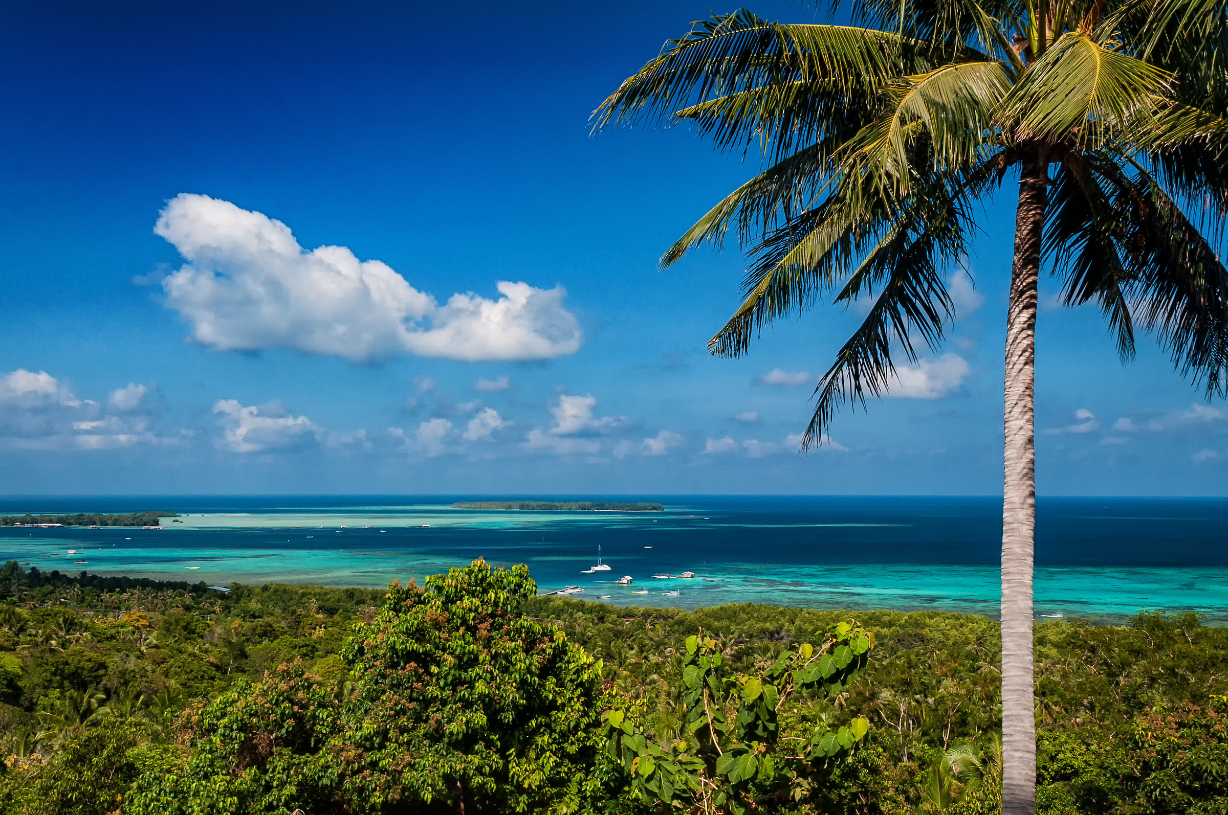 Kisses kisses from the Karimujawa