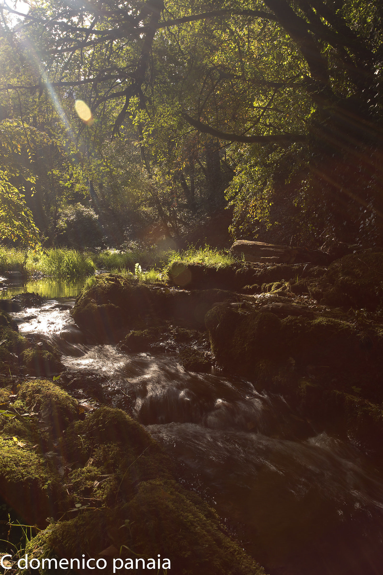 scatto in controluce