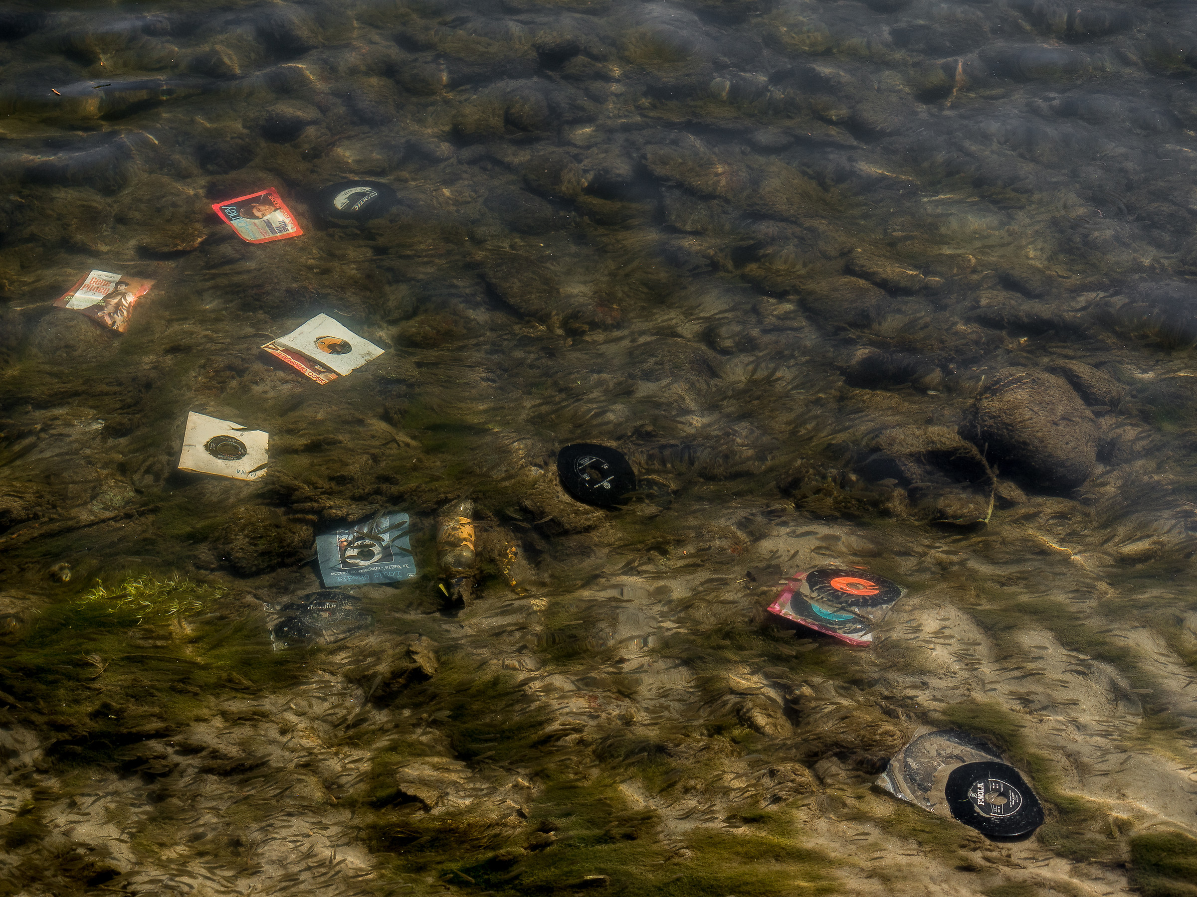 un tuffo nella musica anni 60/70........