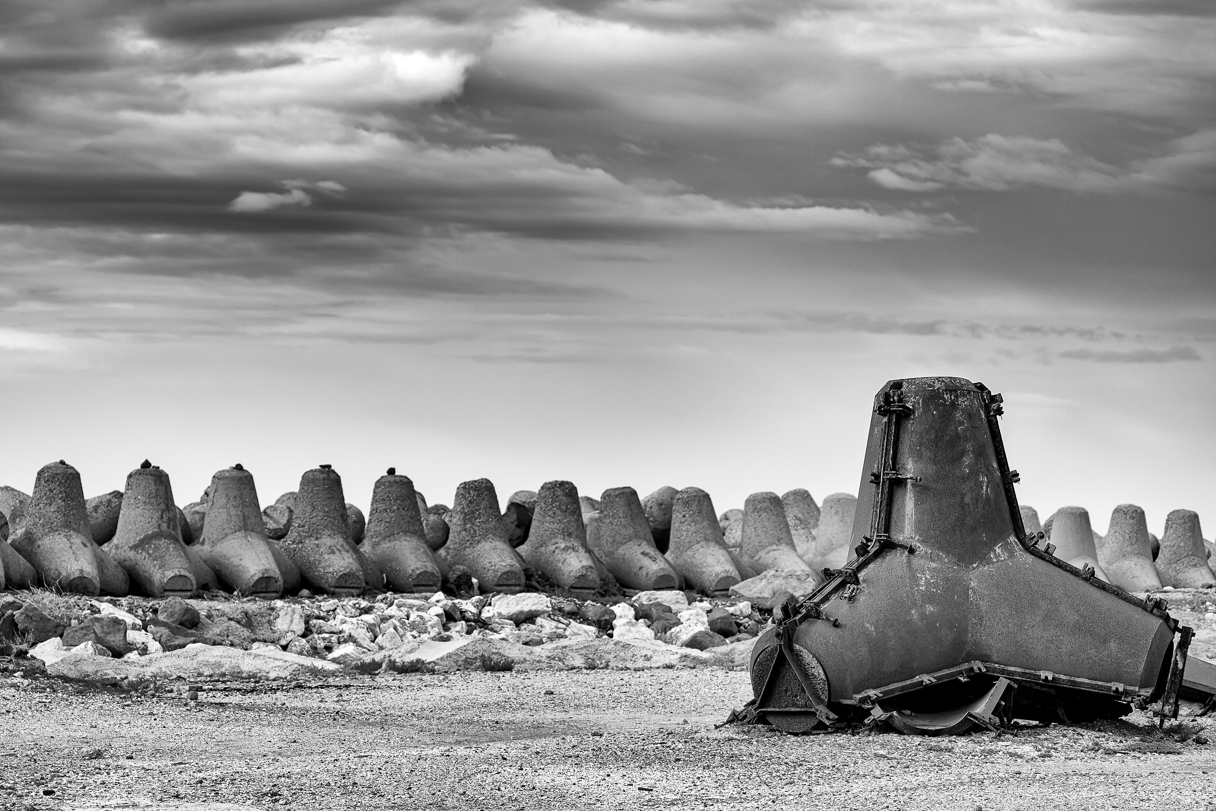 Il plotone schierato