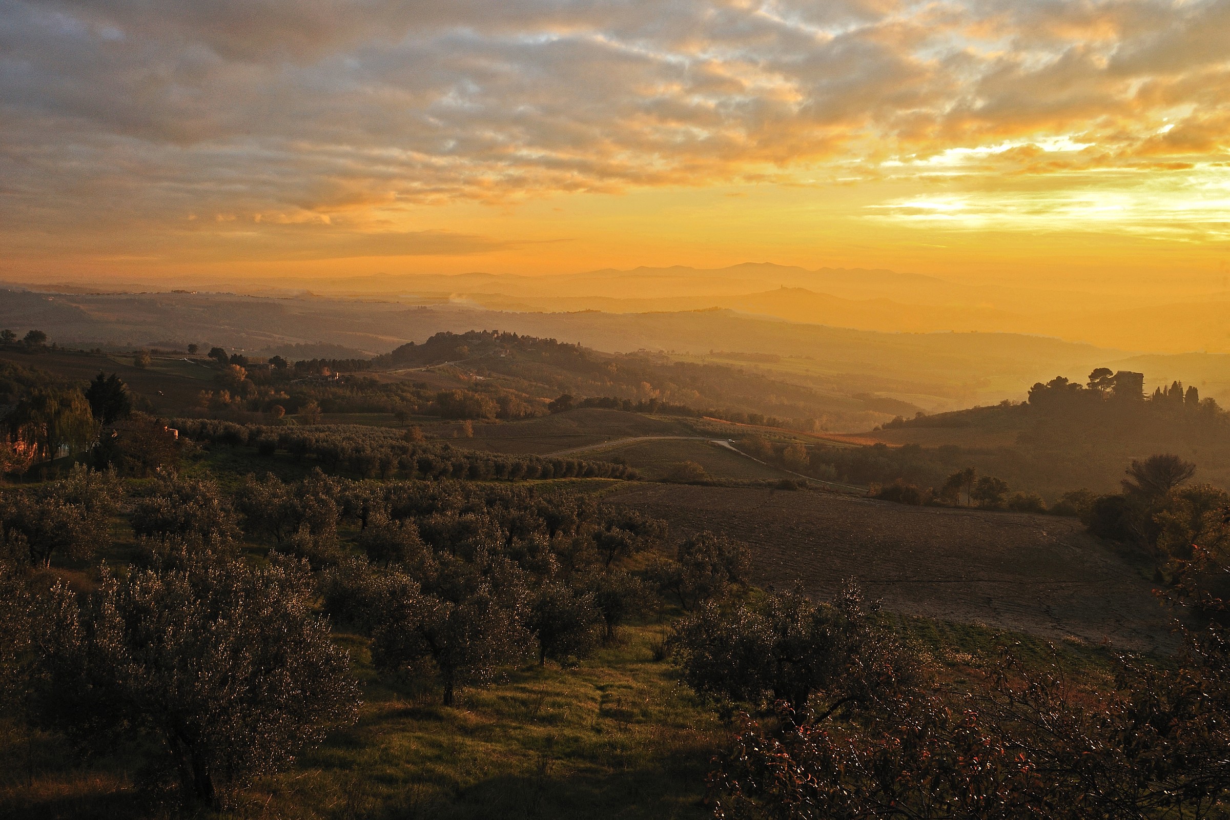 Colline umbre al tramonto
