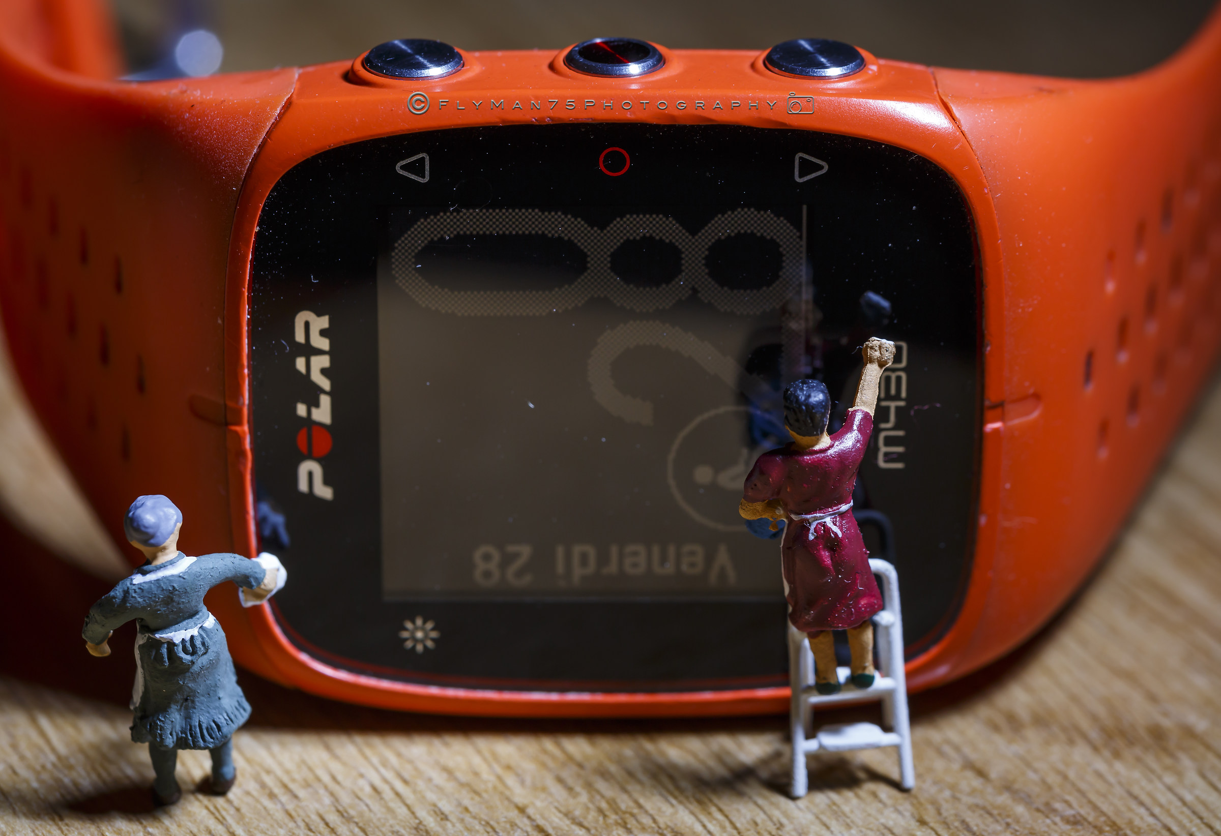 Maintenance to Polar