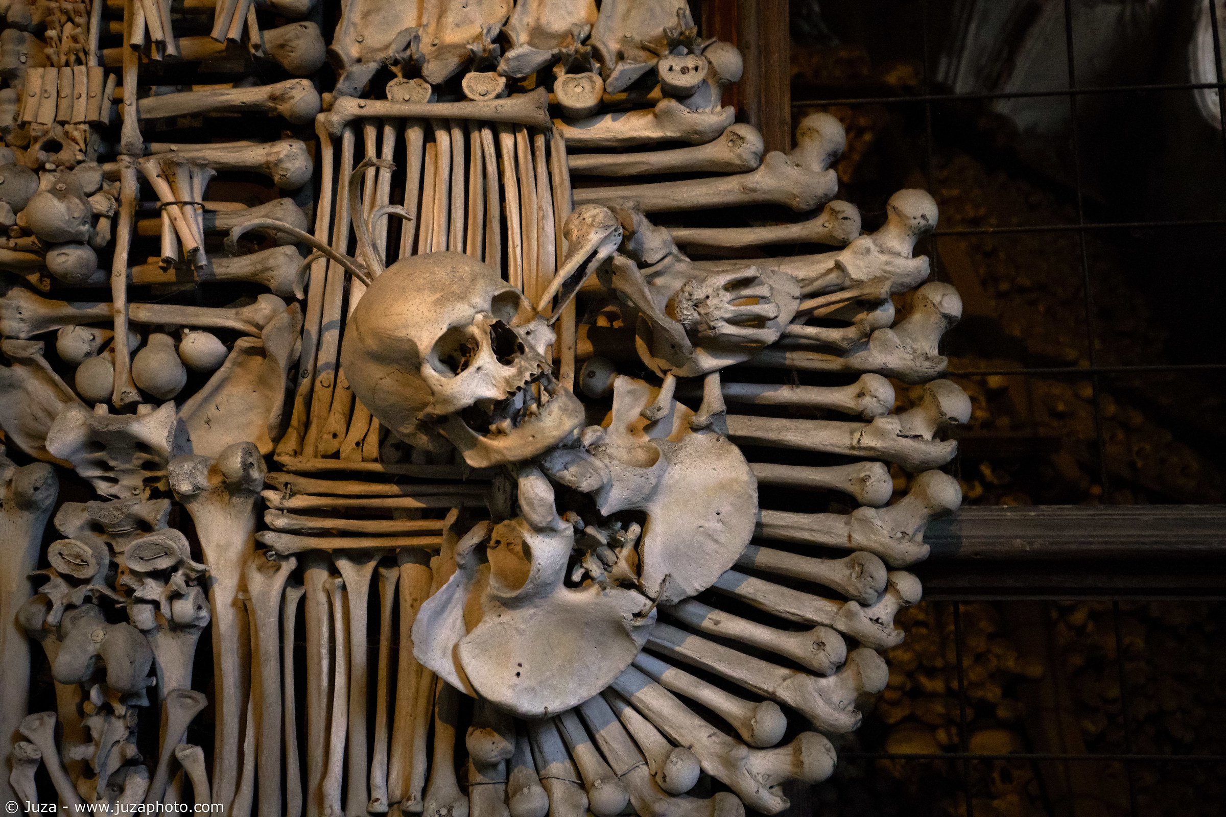 Raven and soldier skeleton