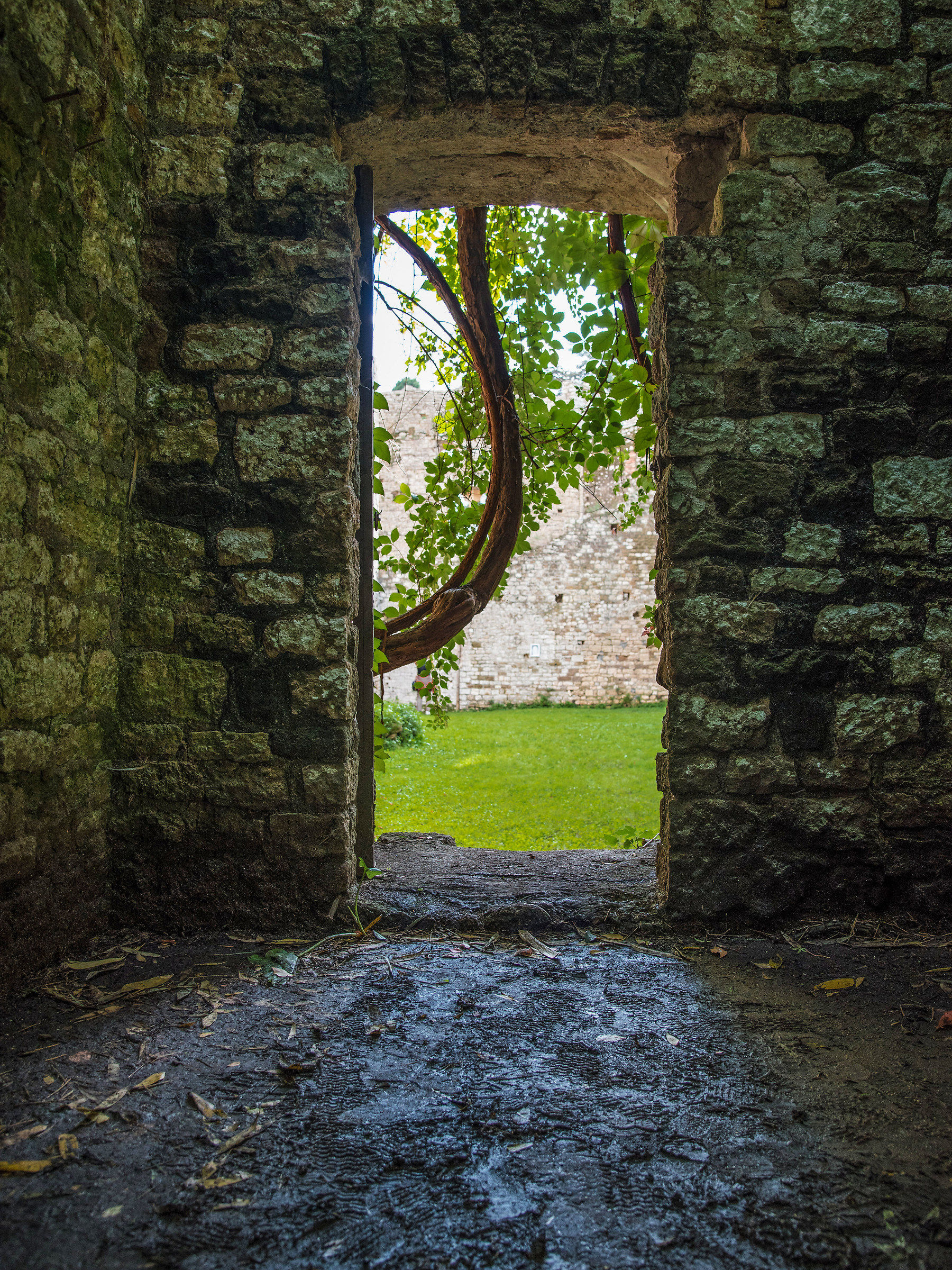 Non chiudete quella porta