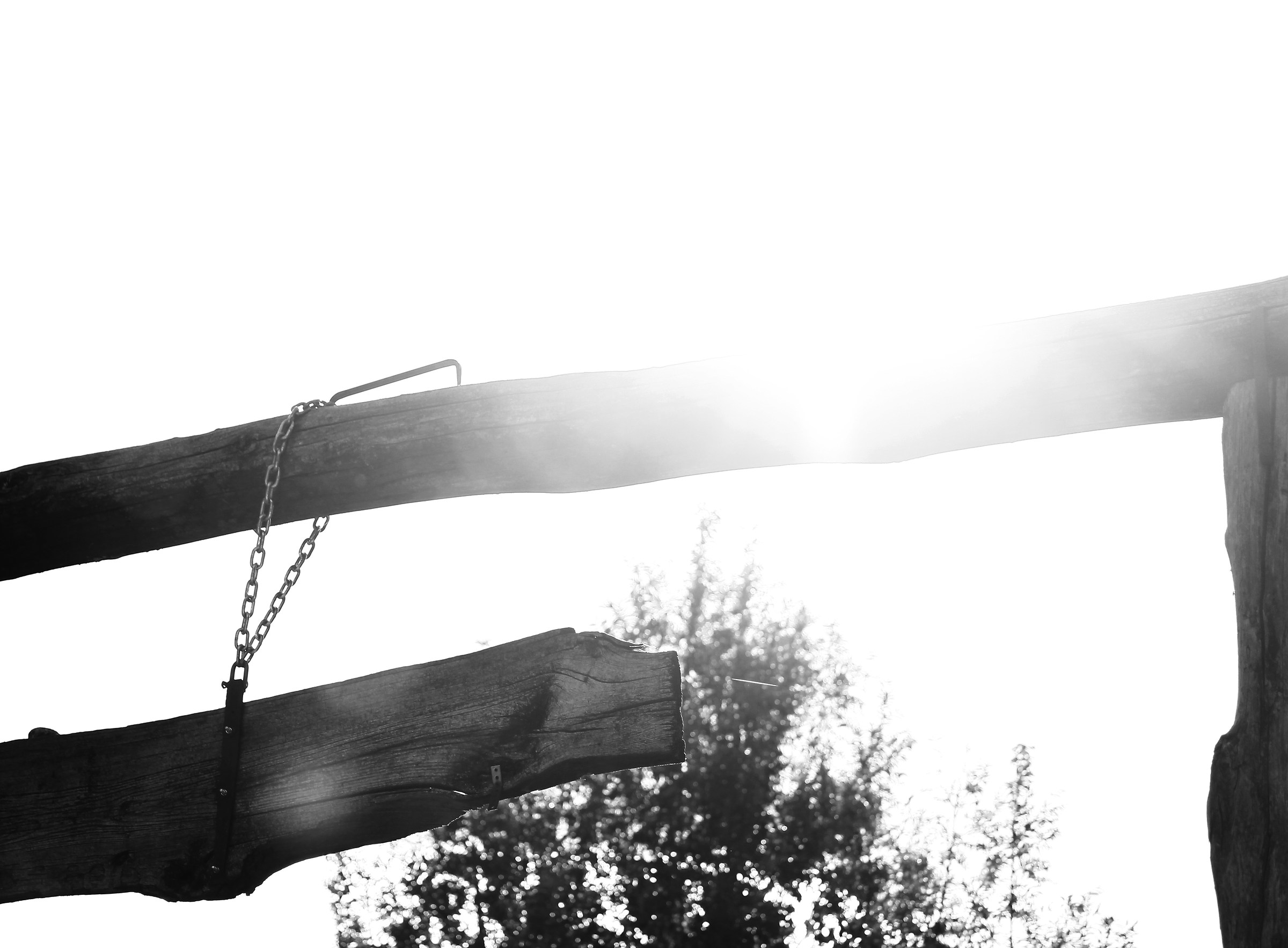 Agriturismo La Selva - Ingresso (controluce)