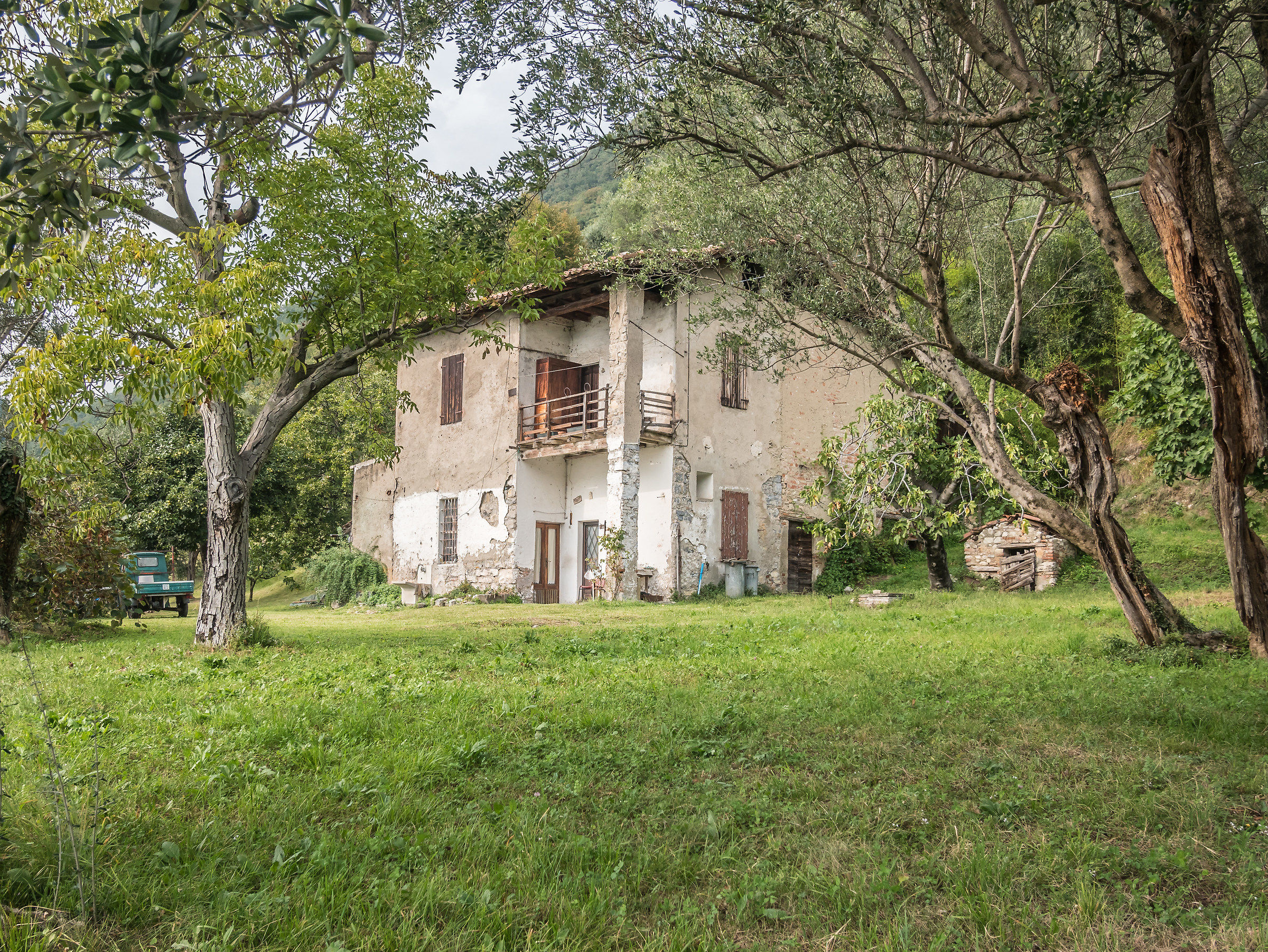 The House in the woods