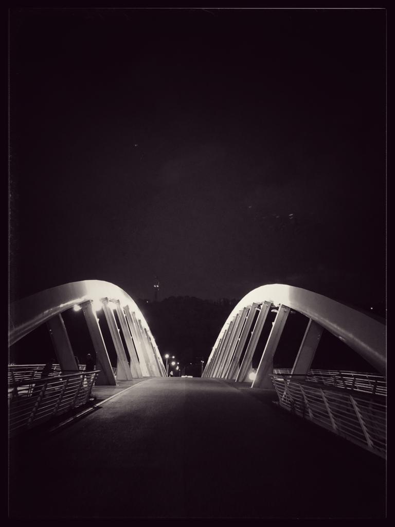 Ponte della musica Roma