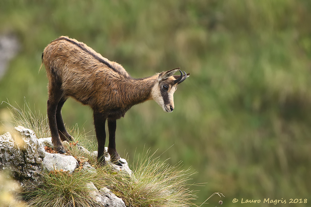 Uno sguardo verso il basso