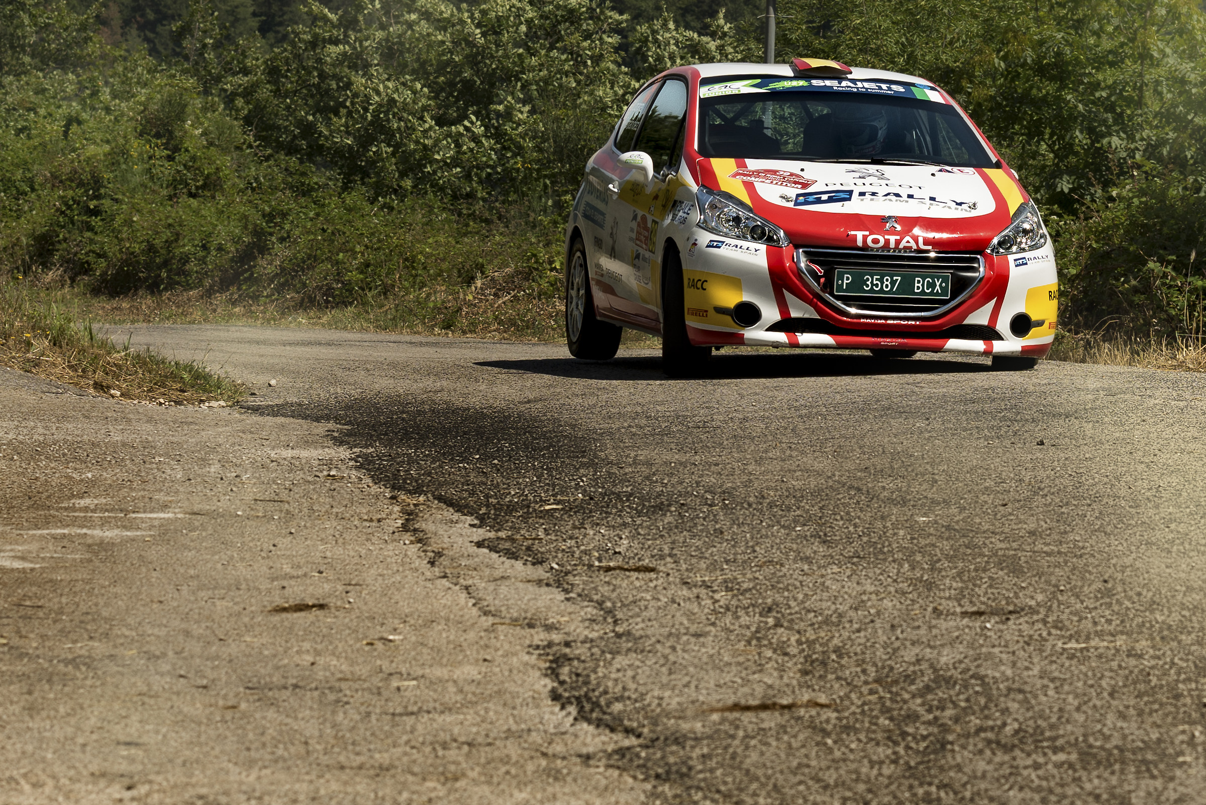 Rally Team Spain Llarena  Fernandez peugeot 208