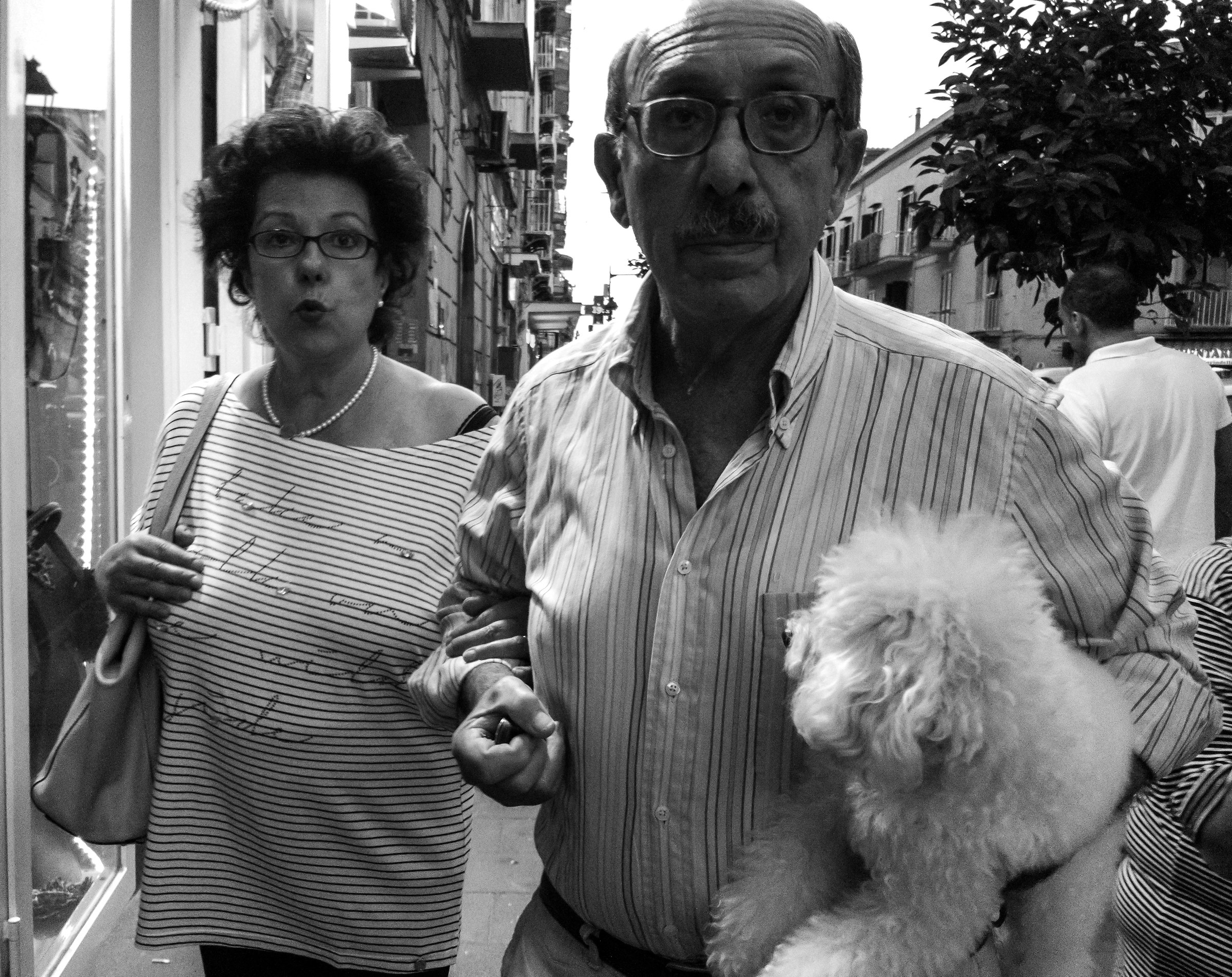 Cane a spasso e... bacini