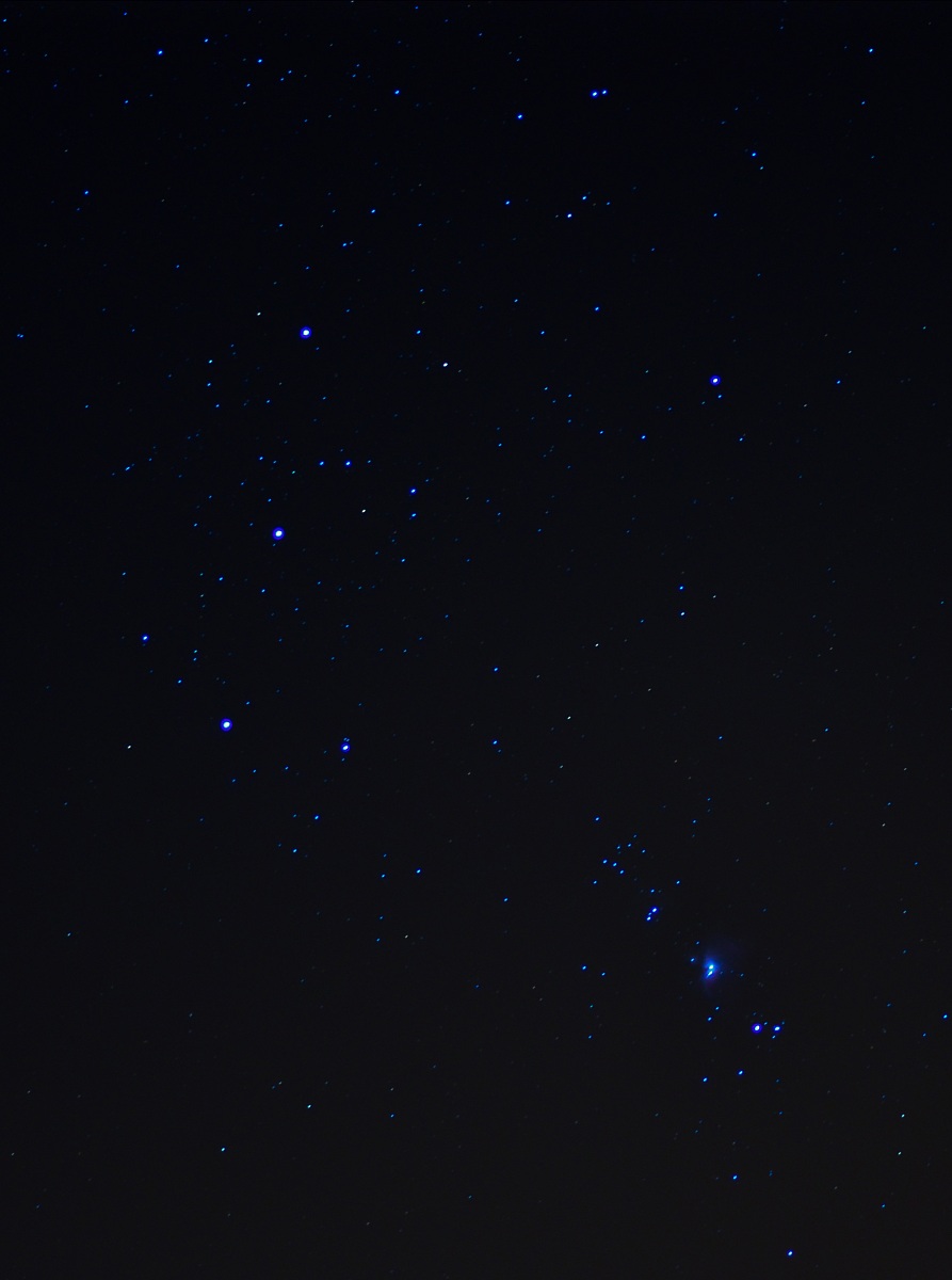 Particolare della costellazione di Orione