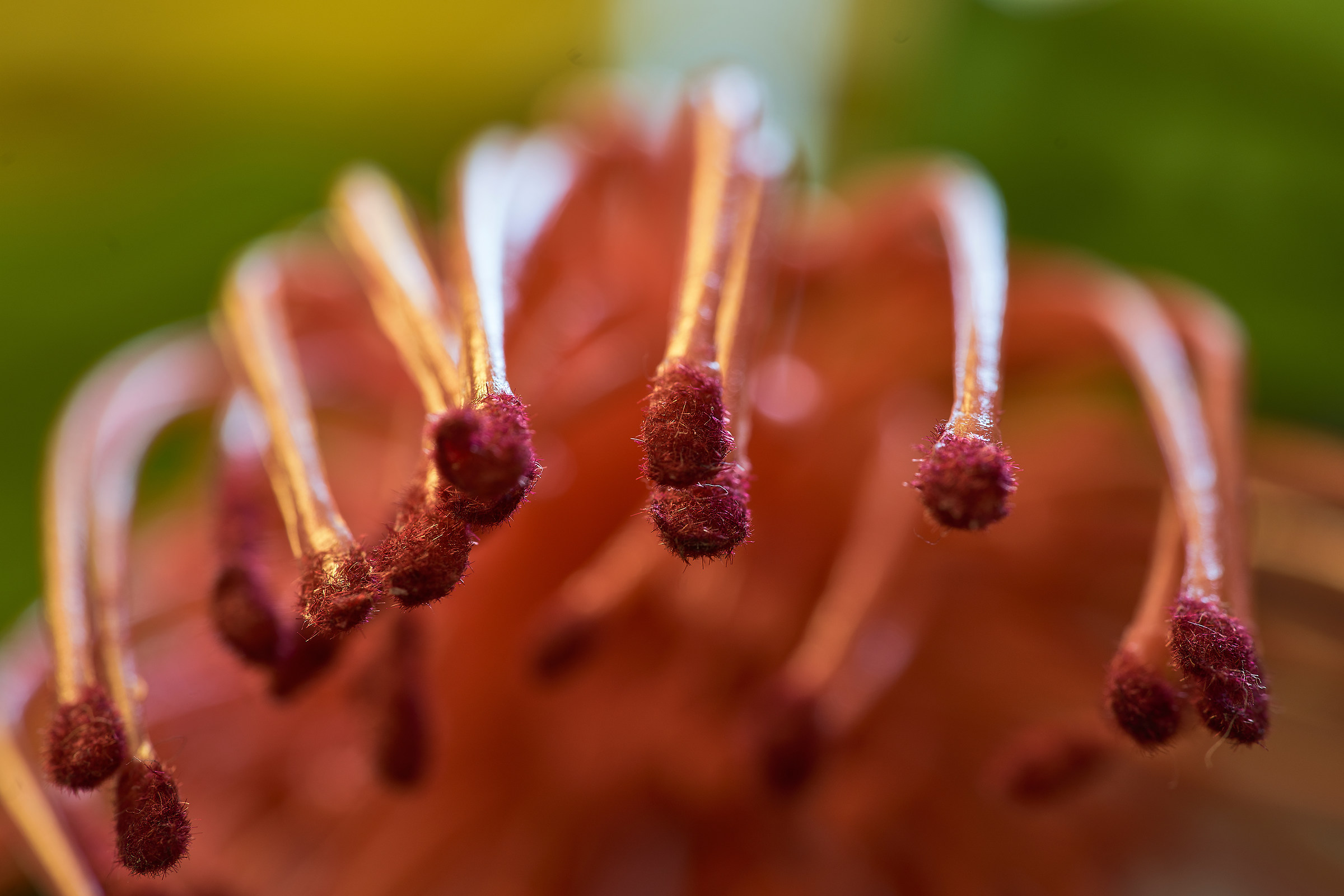 Giocando con il macro