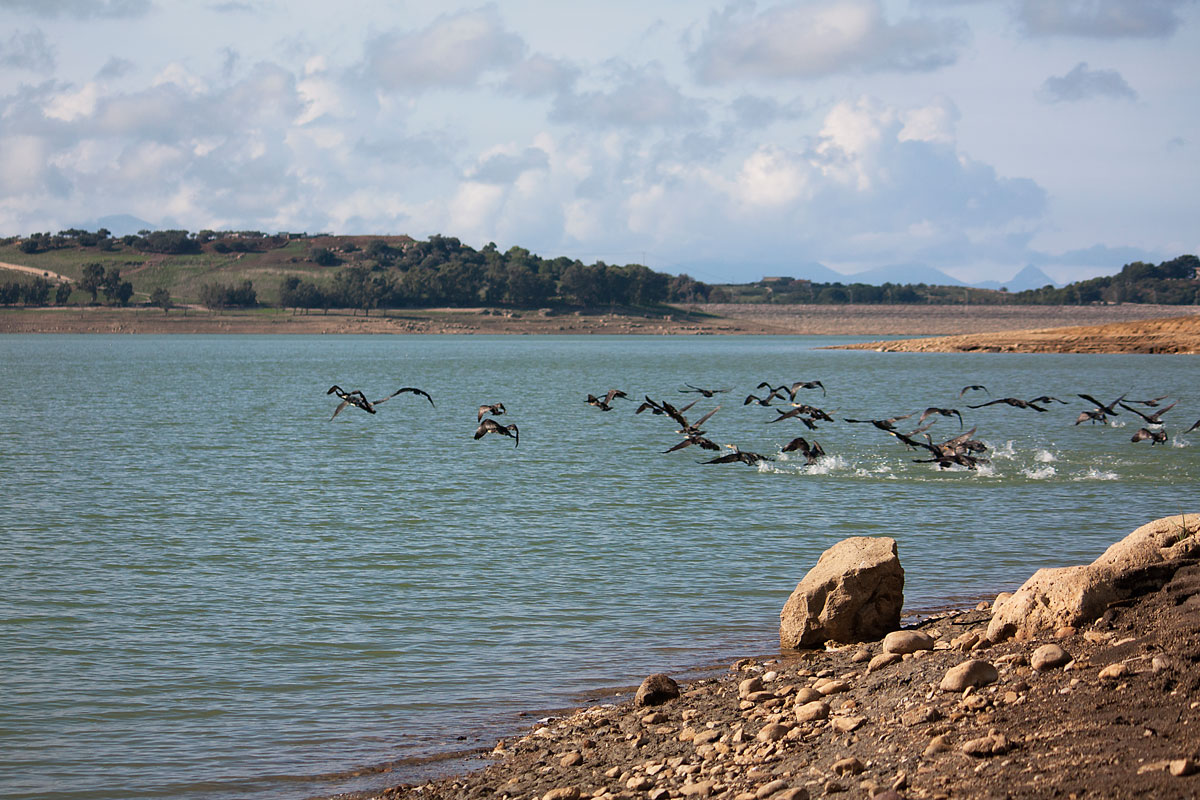 lago Poma....brusca partenza