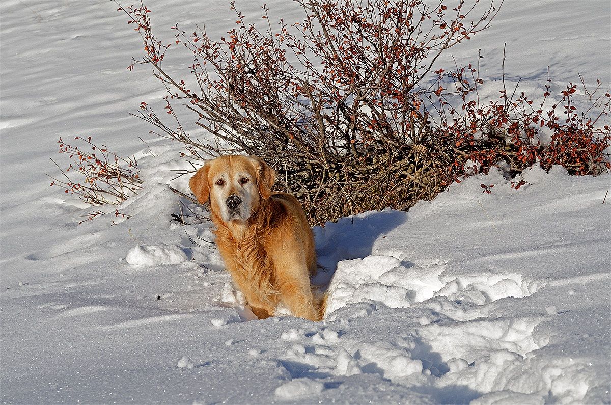 something interesting?