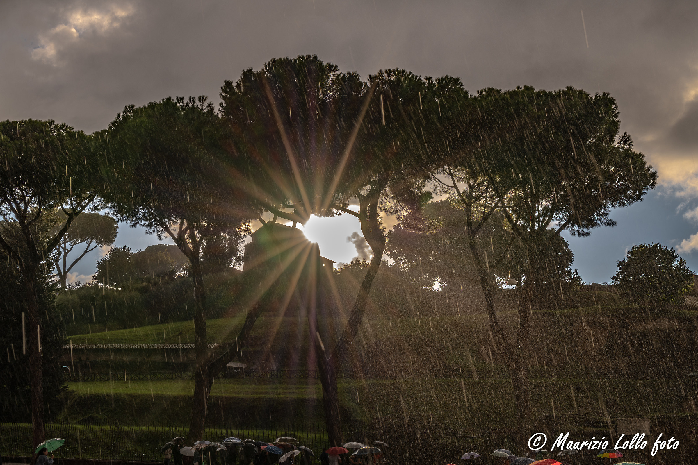 Sole dal Palatino, senza dubbio: pioveva