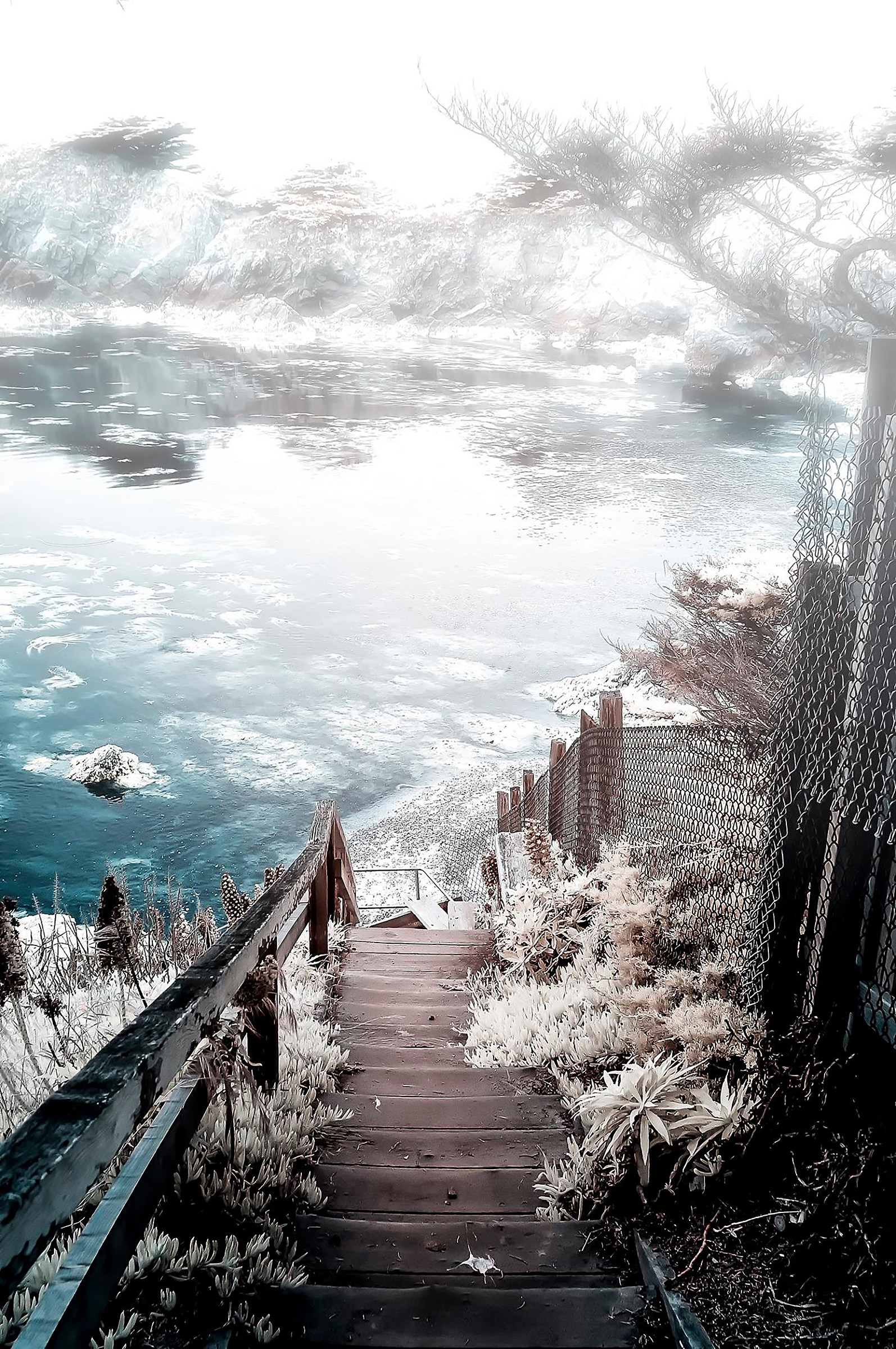 Carmel by the sea-720nm