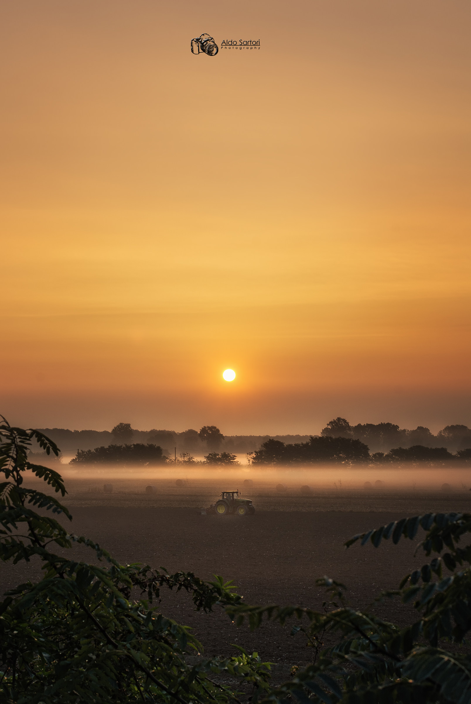 Il lavoro del mattino