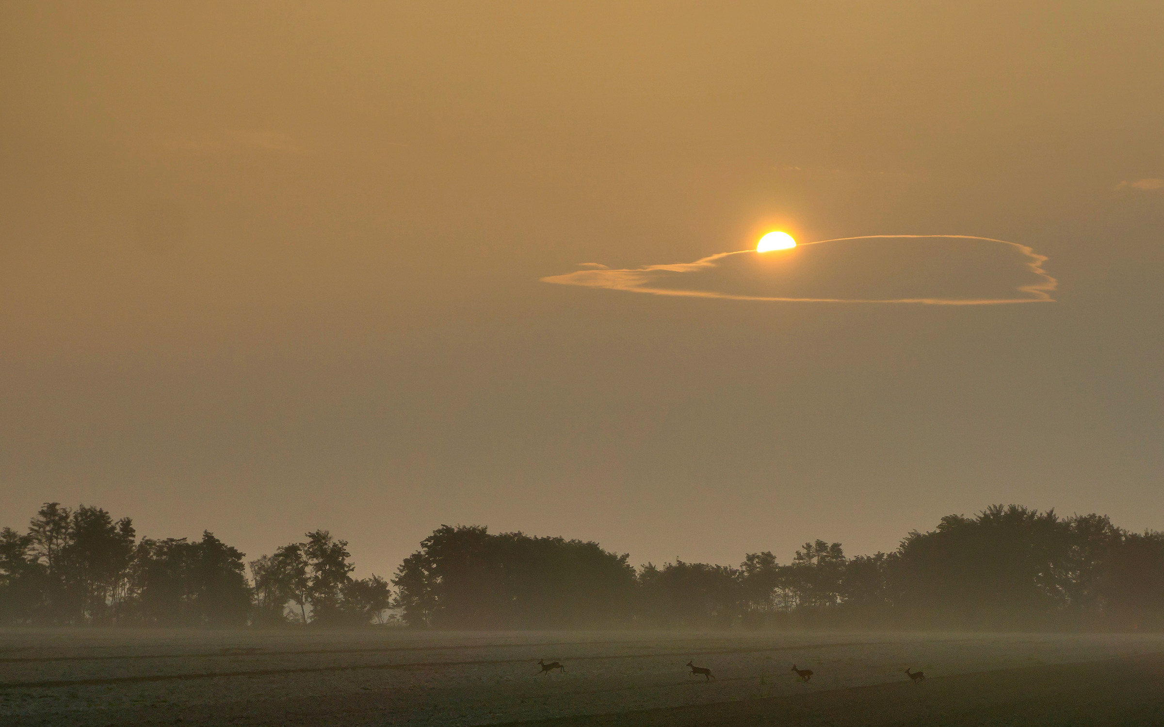 Alba on SR10-10-10-18