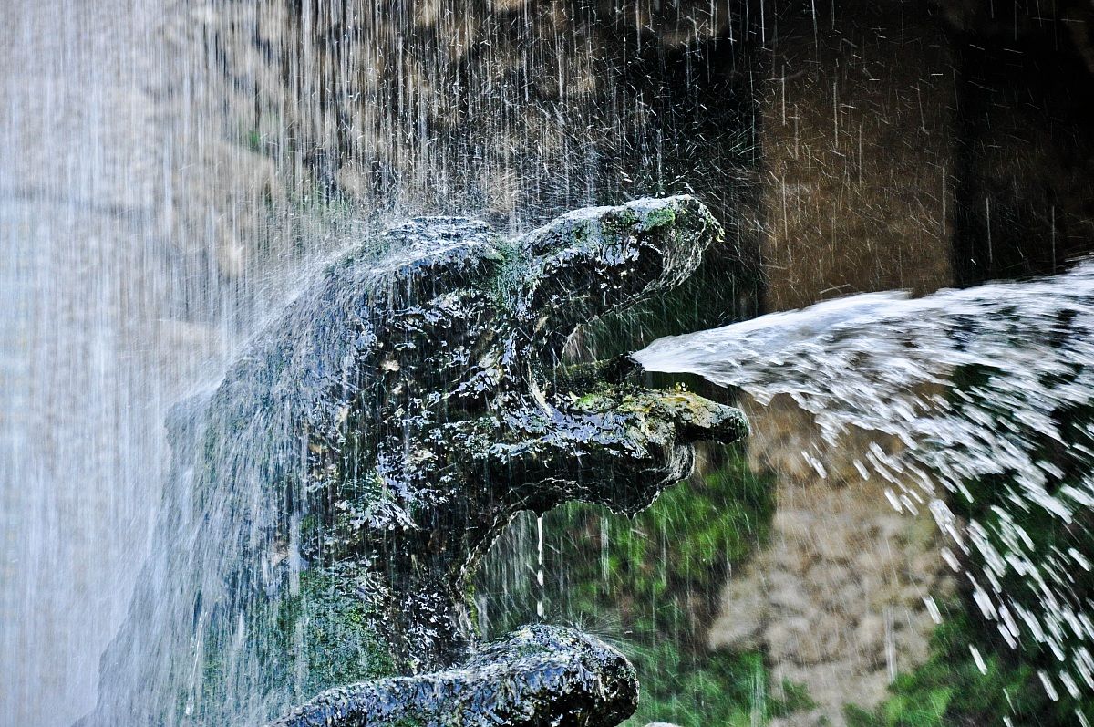 colpito dalla medusa