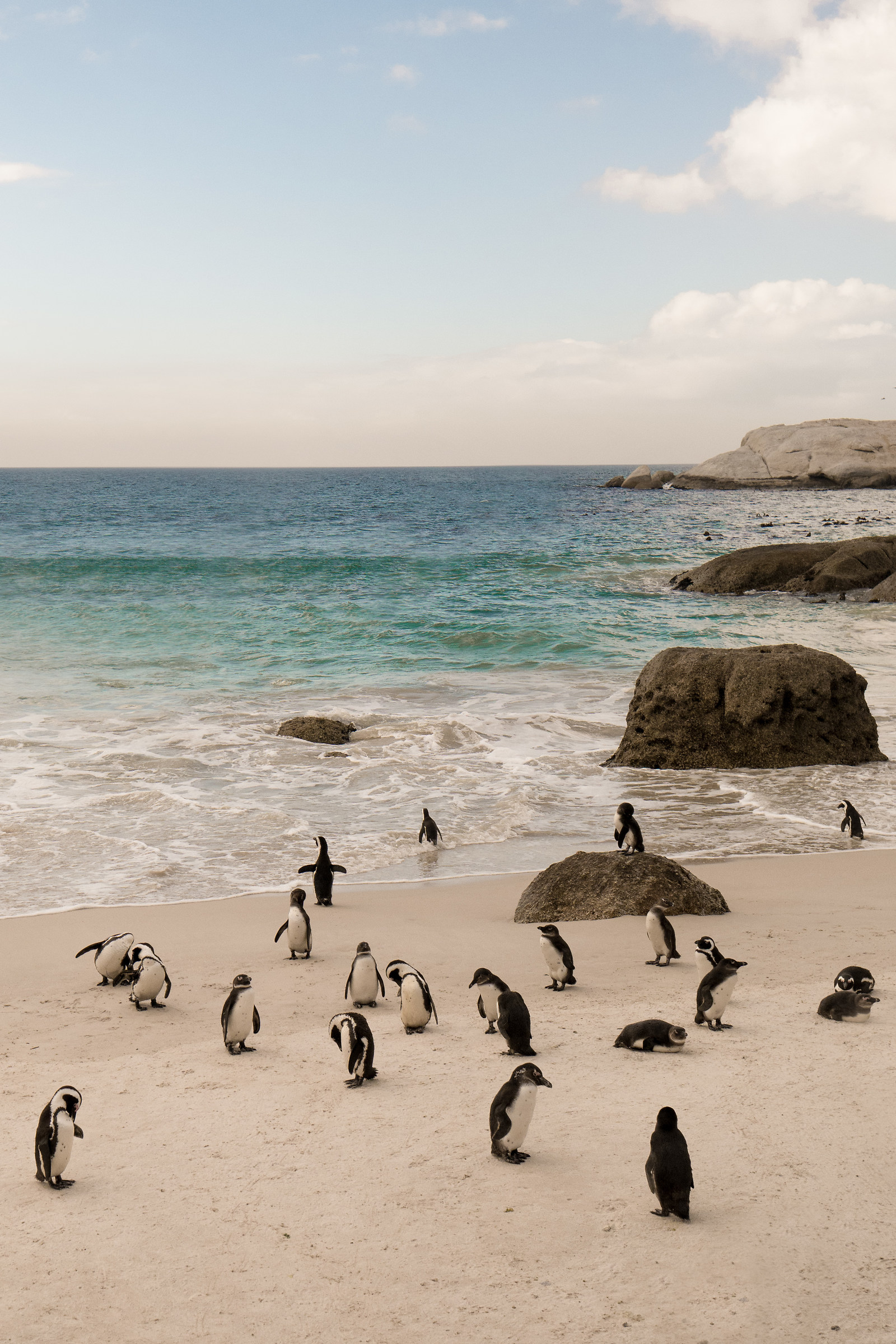 Boulders Beach, Simon's Town, Sudafrica