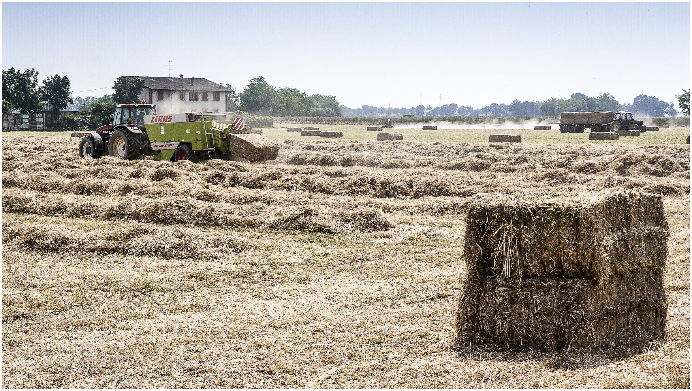 Ti faccio le balle quadre...