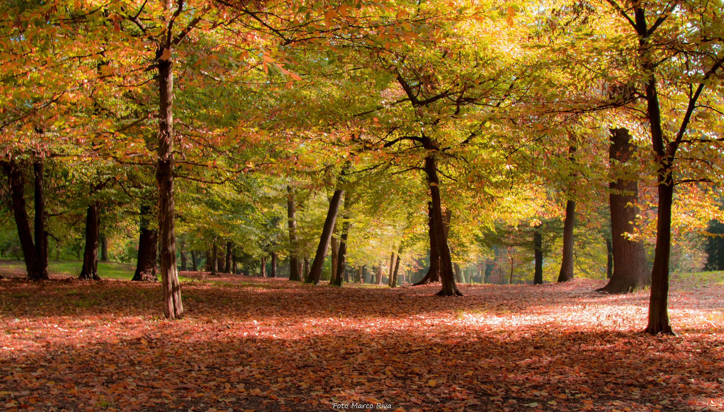 La natura si veste di Autunno