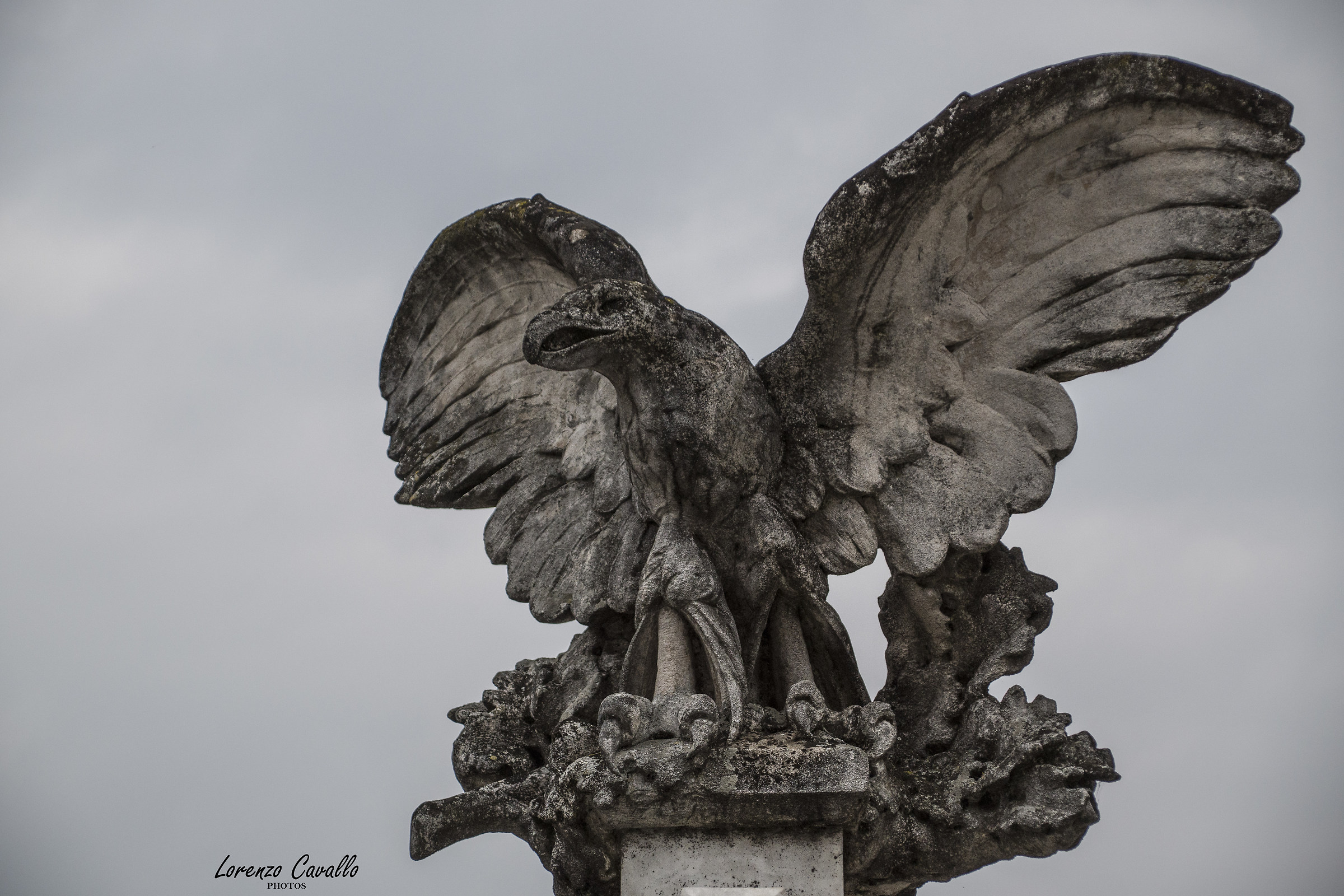 l' Aquila dei caduti