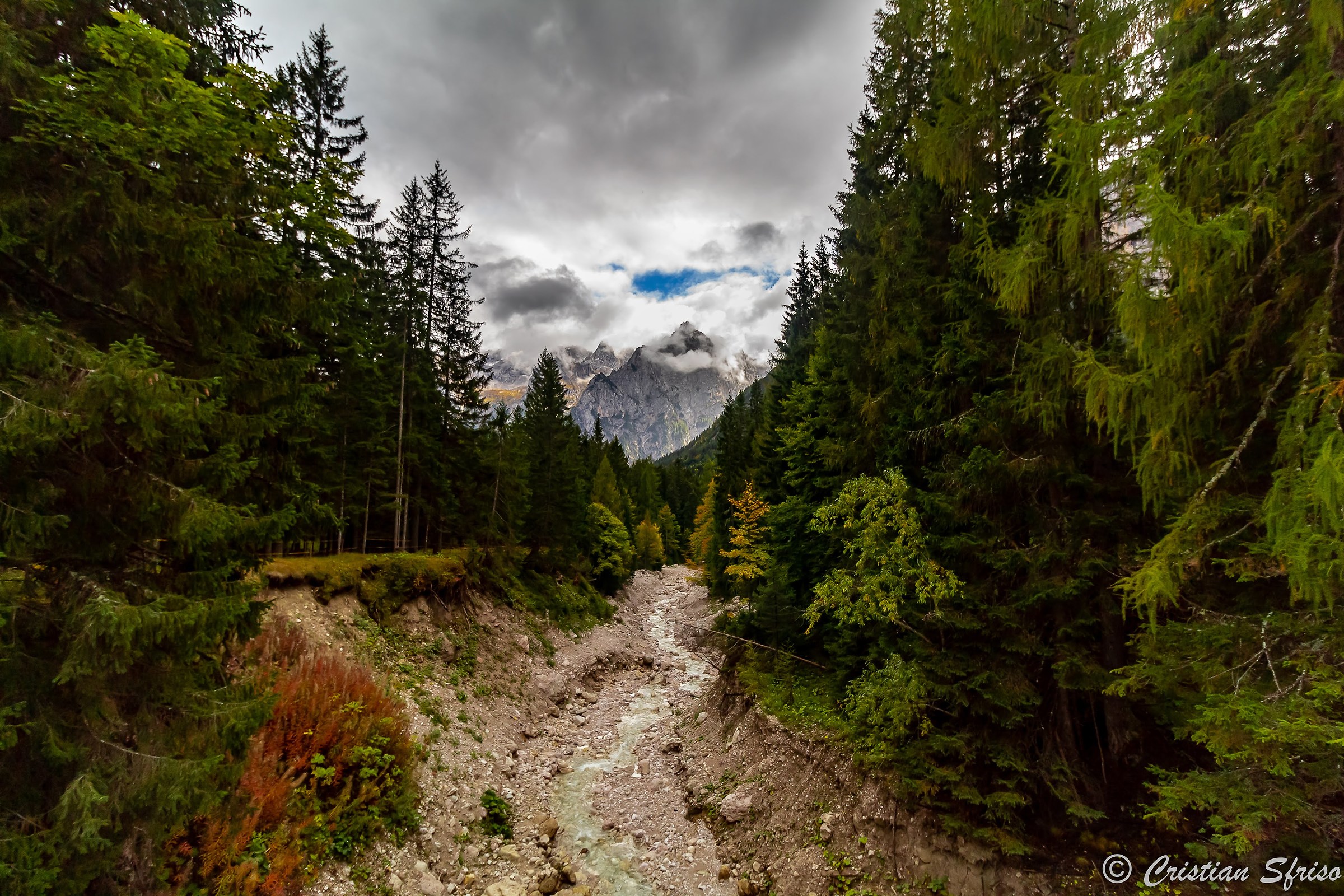 That Rustle of Autumn