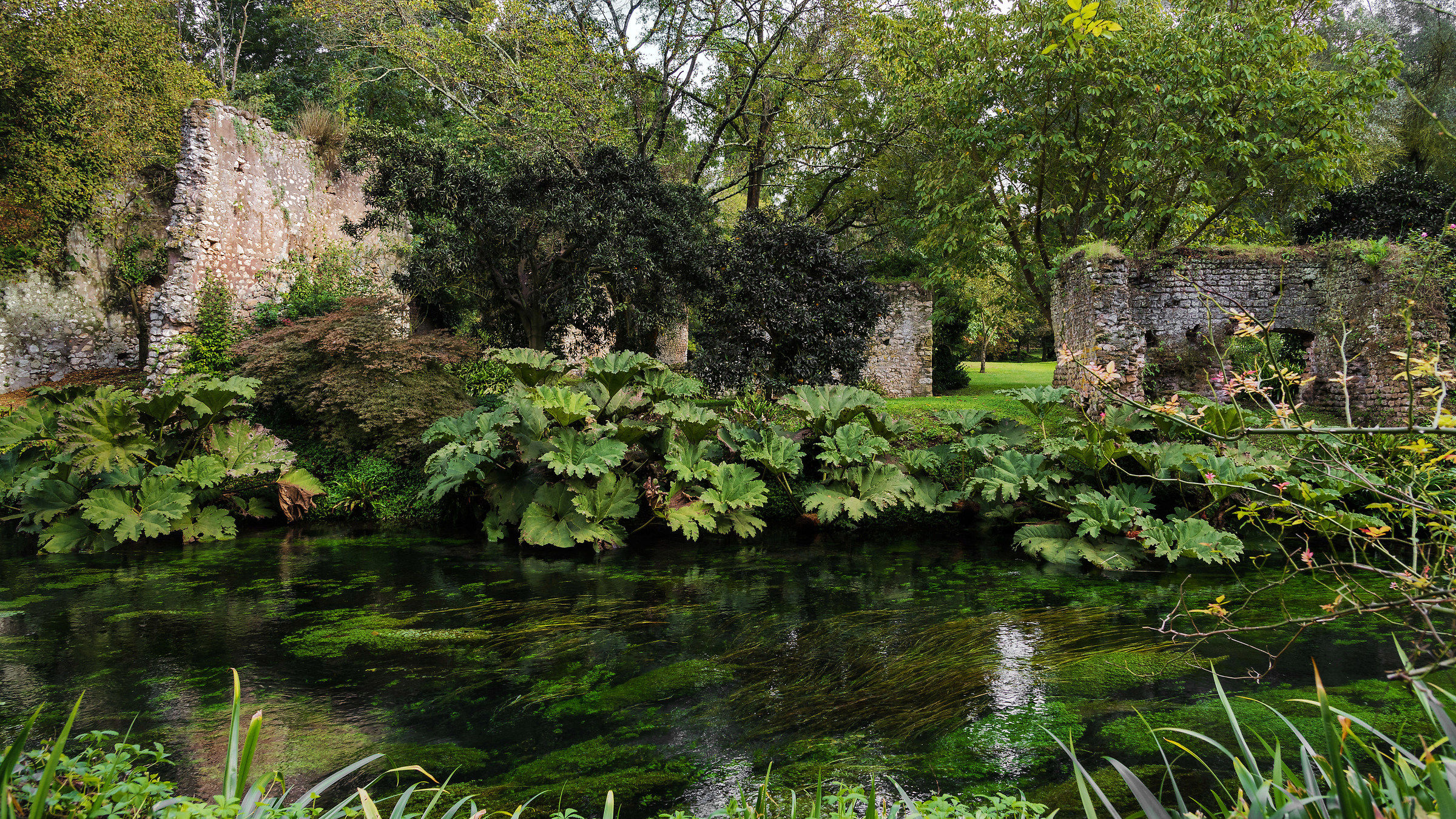 Riva del Ninfa e ruderi