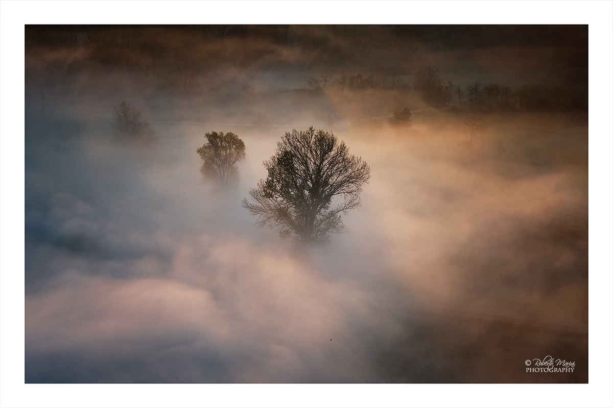 On the banks of the river Adda