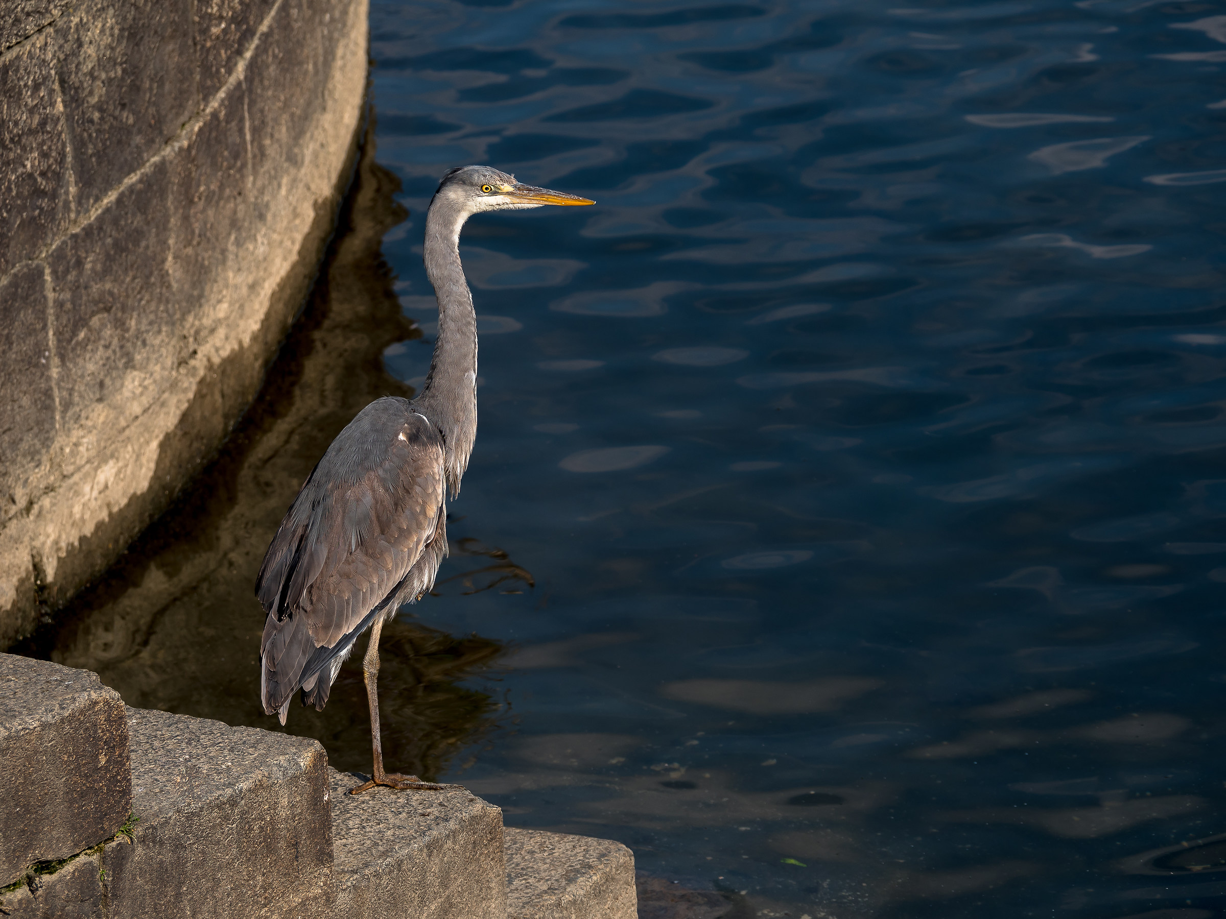 a riposo in osservazione.....