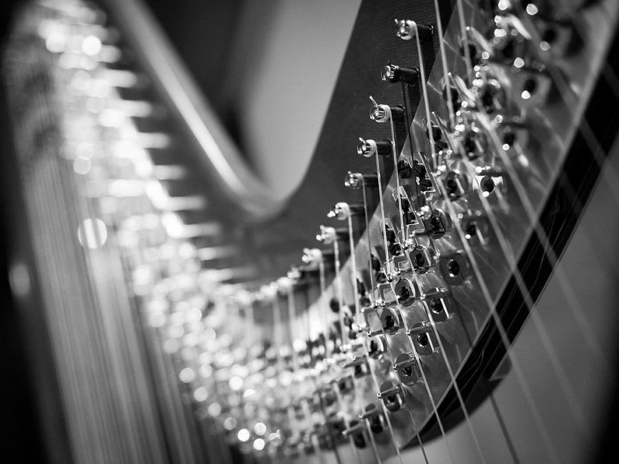 Harp - detail
