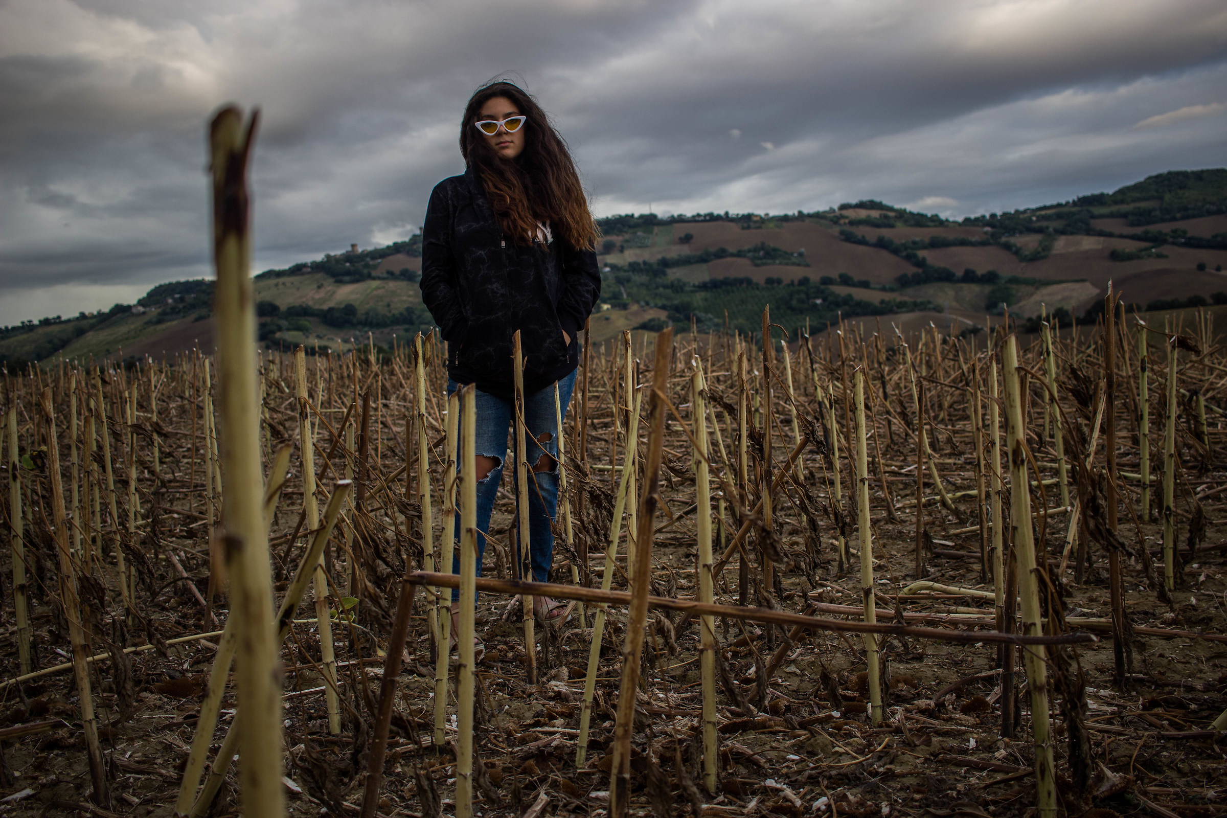 Where there was the cornfield