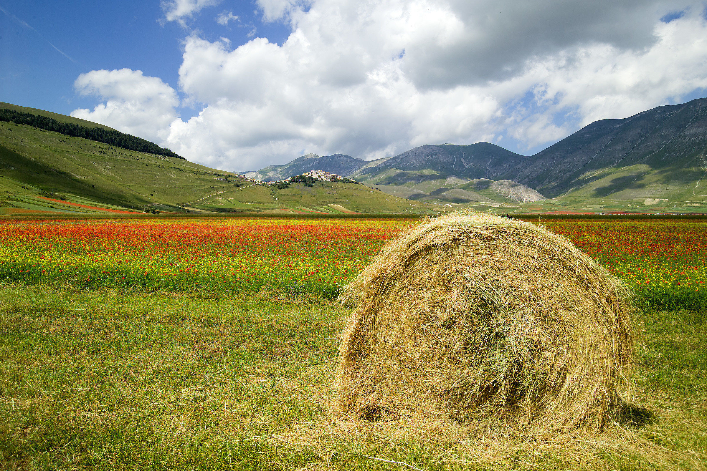 Castelluccio Kodak Srl
